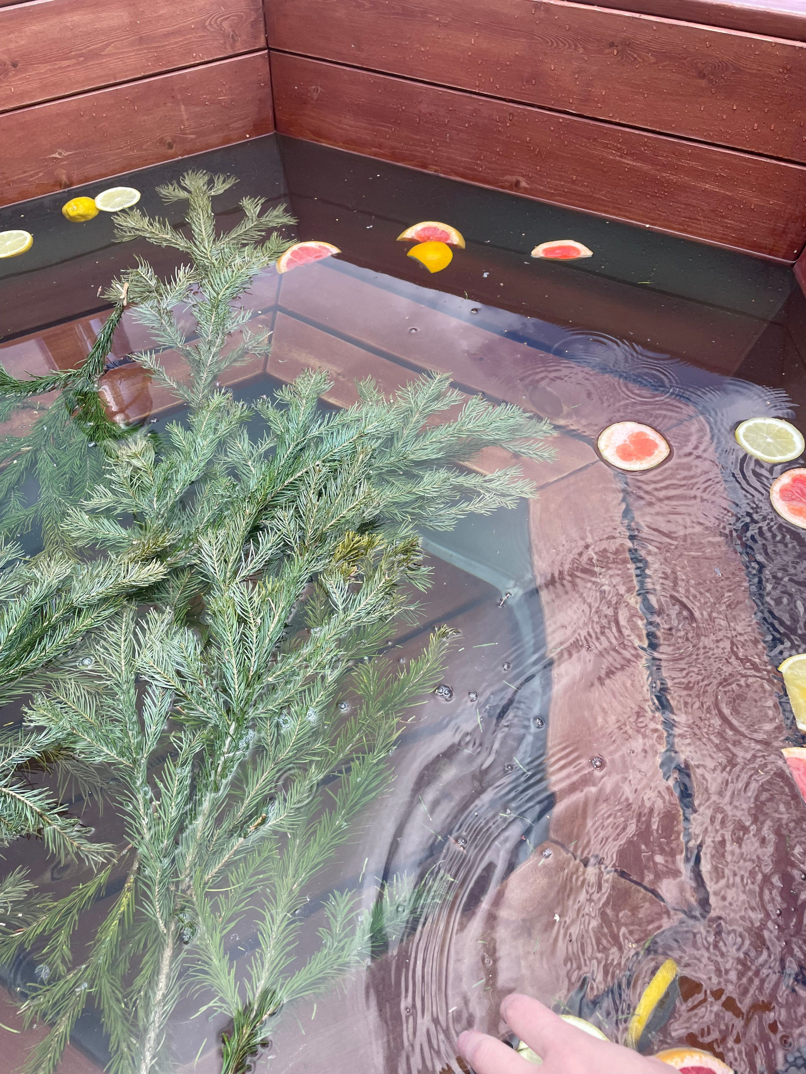 Чан. Организатор загородного отдыха в Переславле Валерия