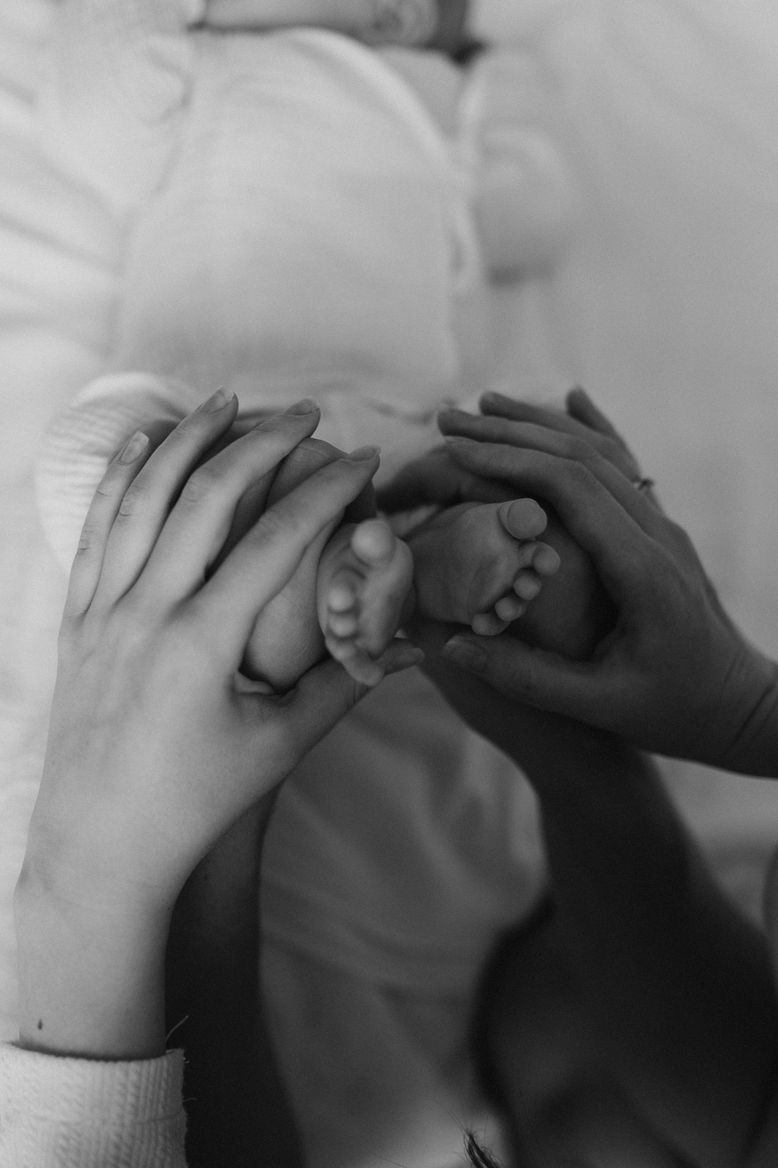 Про маленького дракончика. Брысина Алёна/ фотограф Петрозаводск, Карелия