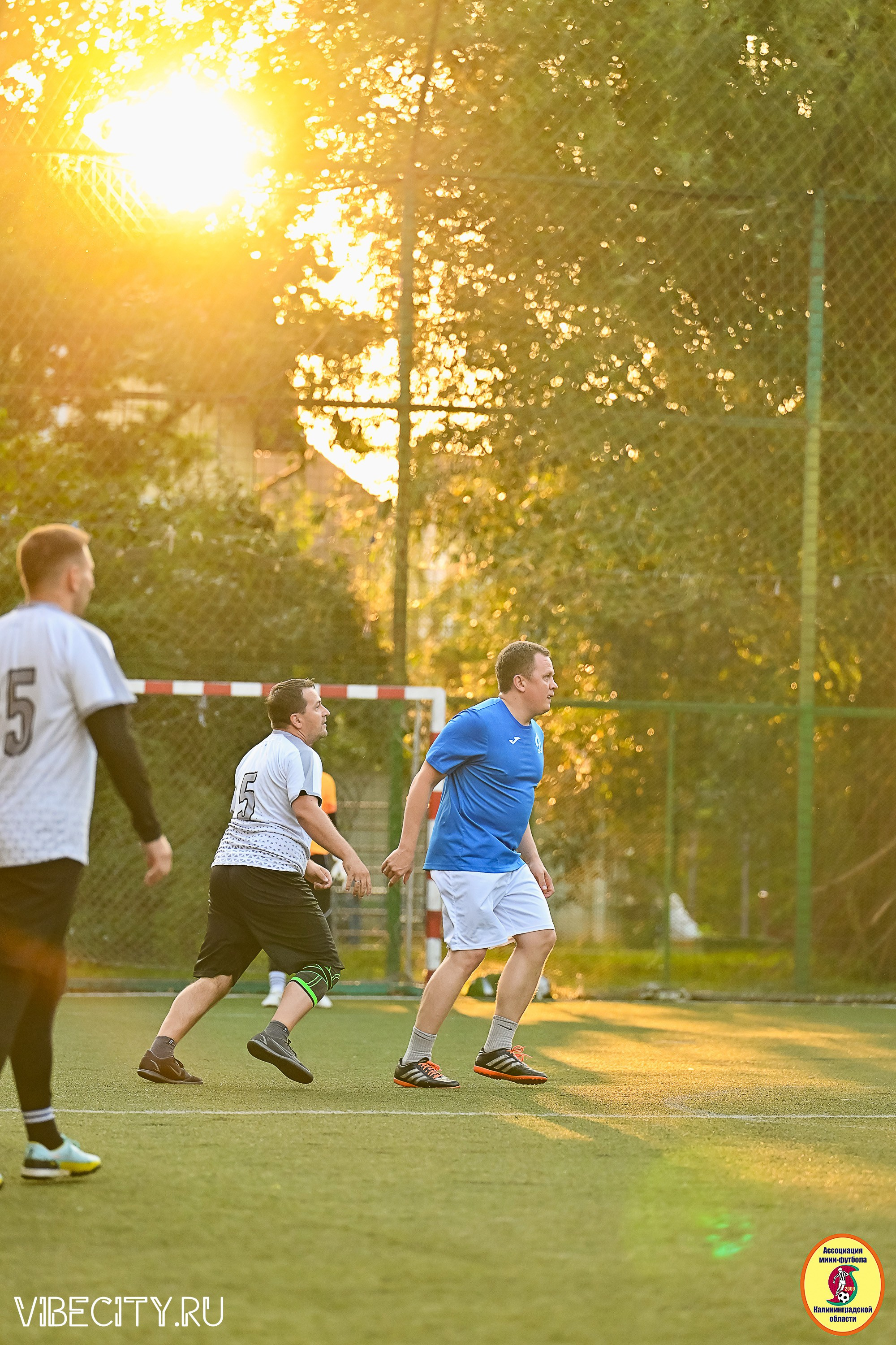 ИГРЫ ПЛЕЙ-ОФФ ПЕРВОГО ДИВИЗИОНА МИНИ-ФУТБОЛЬНОЙ ЛИГИ. VIBECITY.RU Вайб Сити Ру Фоторепортажи Фотоотчеты Калининград