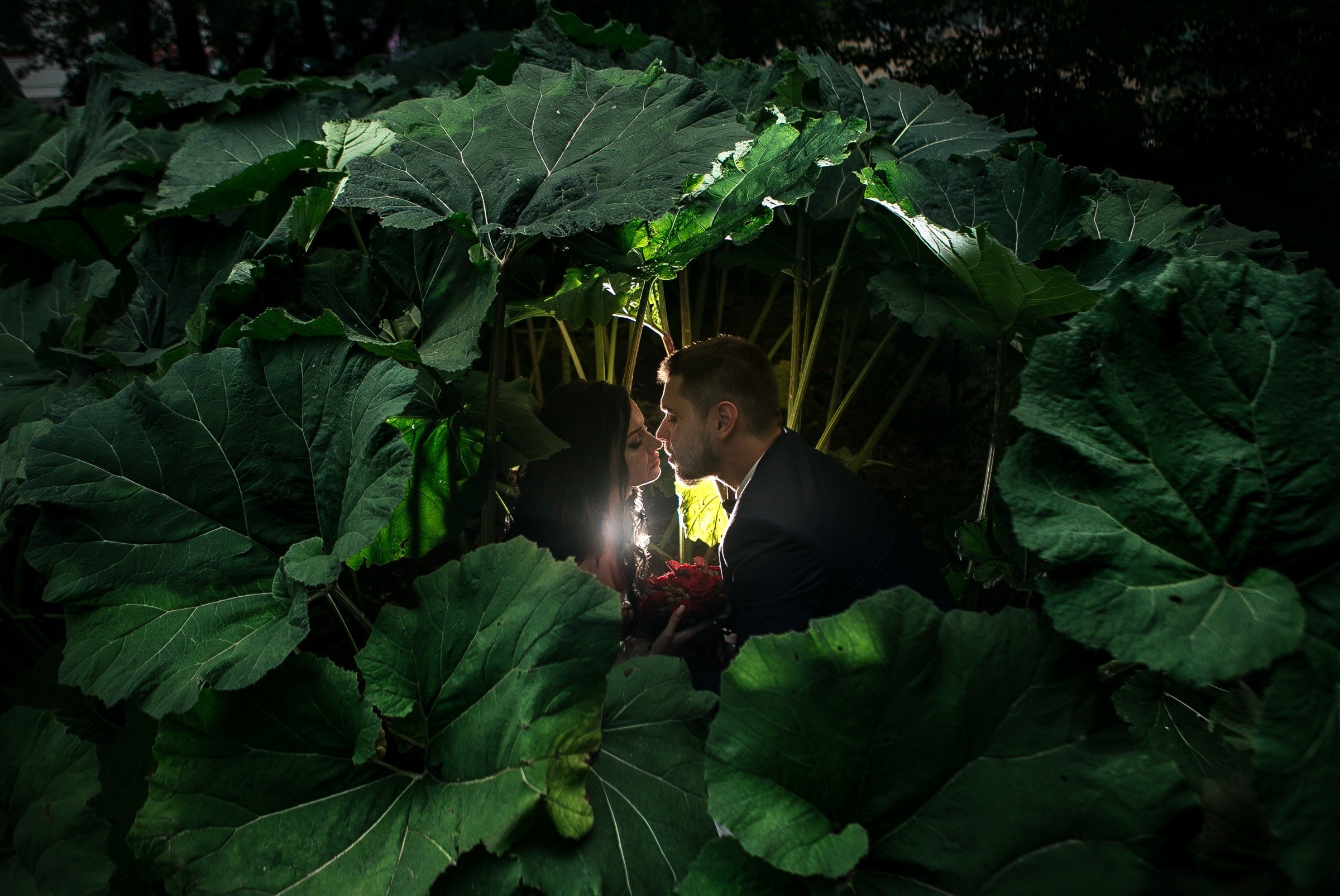 Прогулка. Свадебный фотограф Владивосток, Свадебная фотография