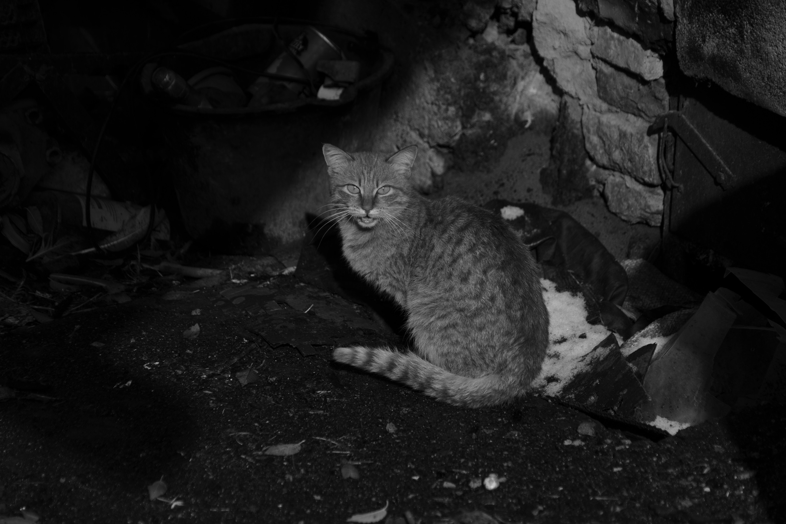 Бекстейдж сьемки кино. Профессиональная съемка в Алматы