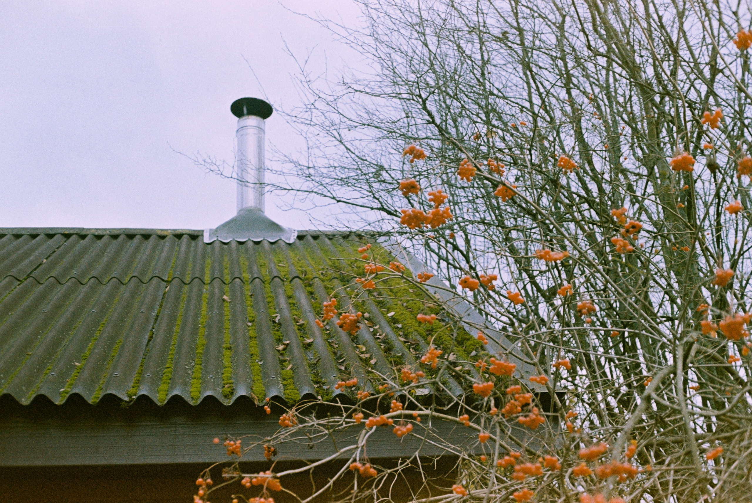 Minolta Hi-Matic 7sII / Kodak Color Plus 200 (просрочка)