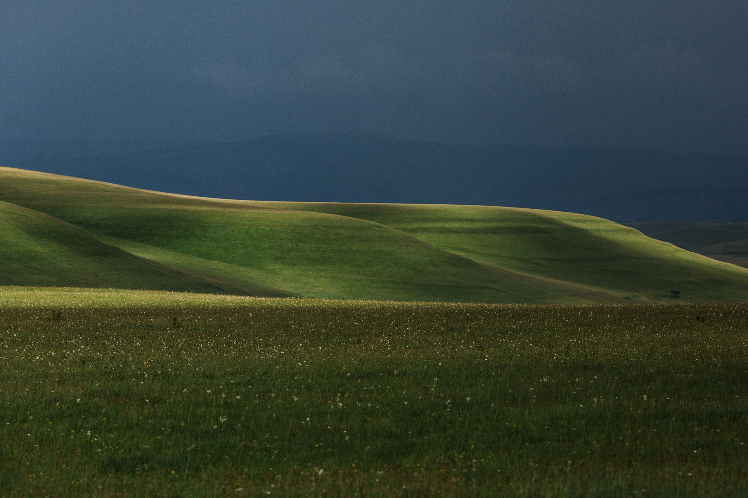 Elbrus. Свадебный и семейный фотограф в Краснодаре Роман Моско