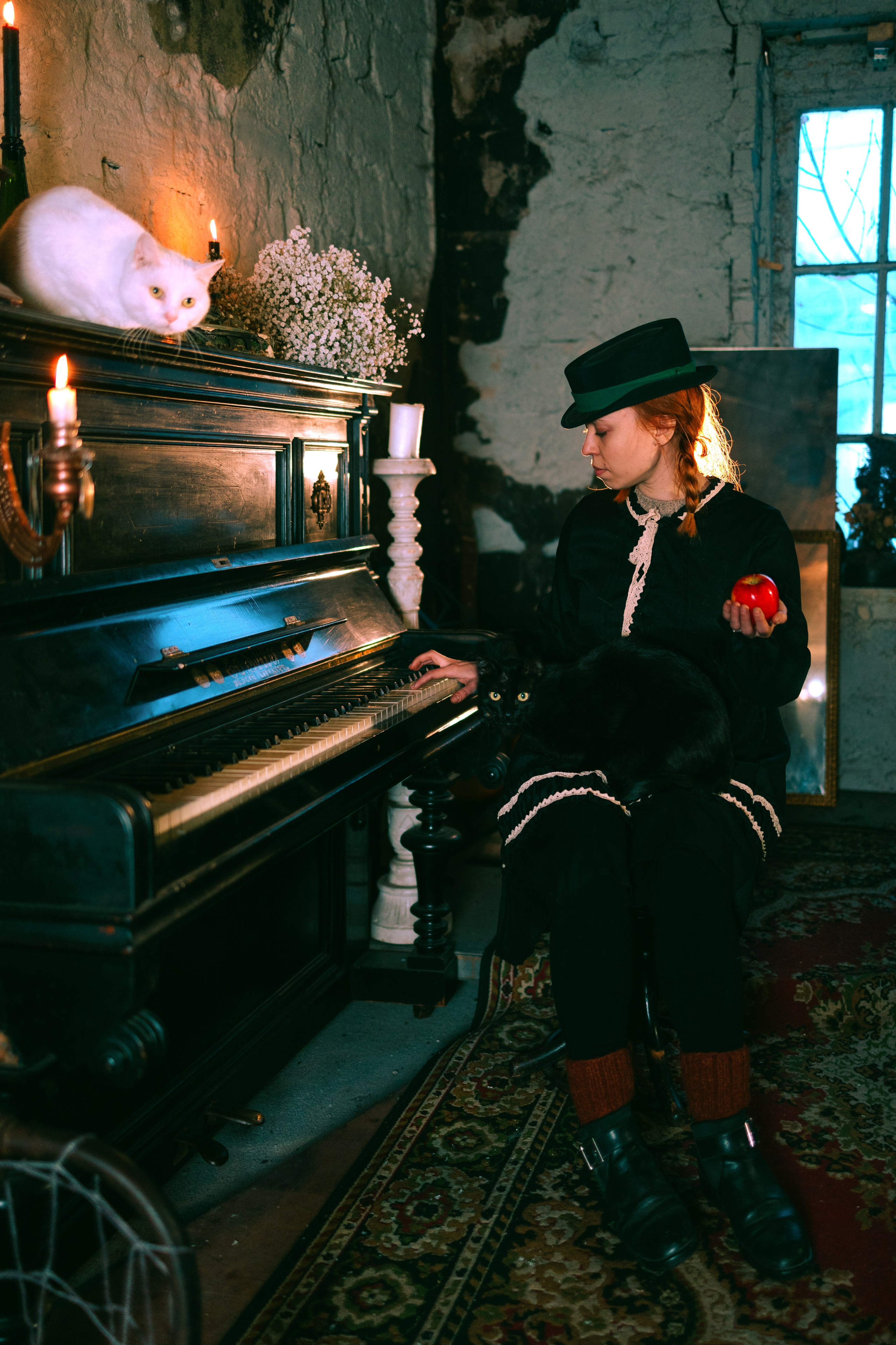 Съёмка домашних животных