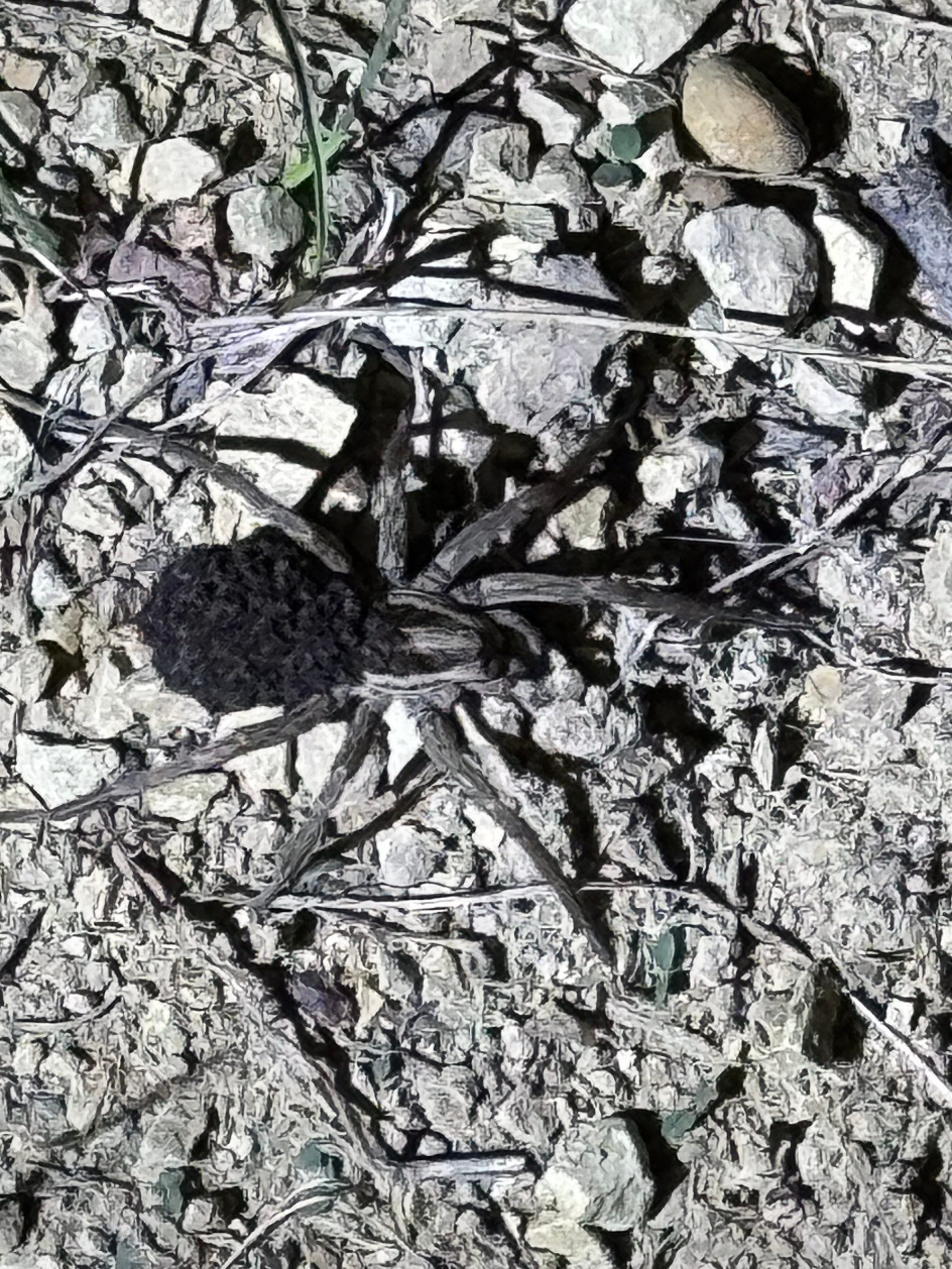 Горячий Ключ (2024-09-20). Собор Отрасли