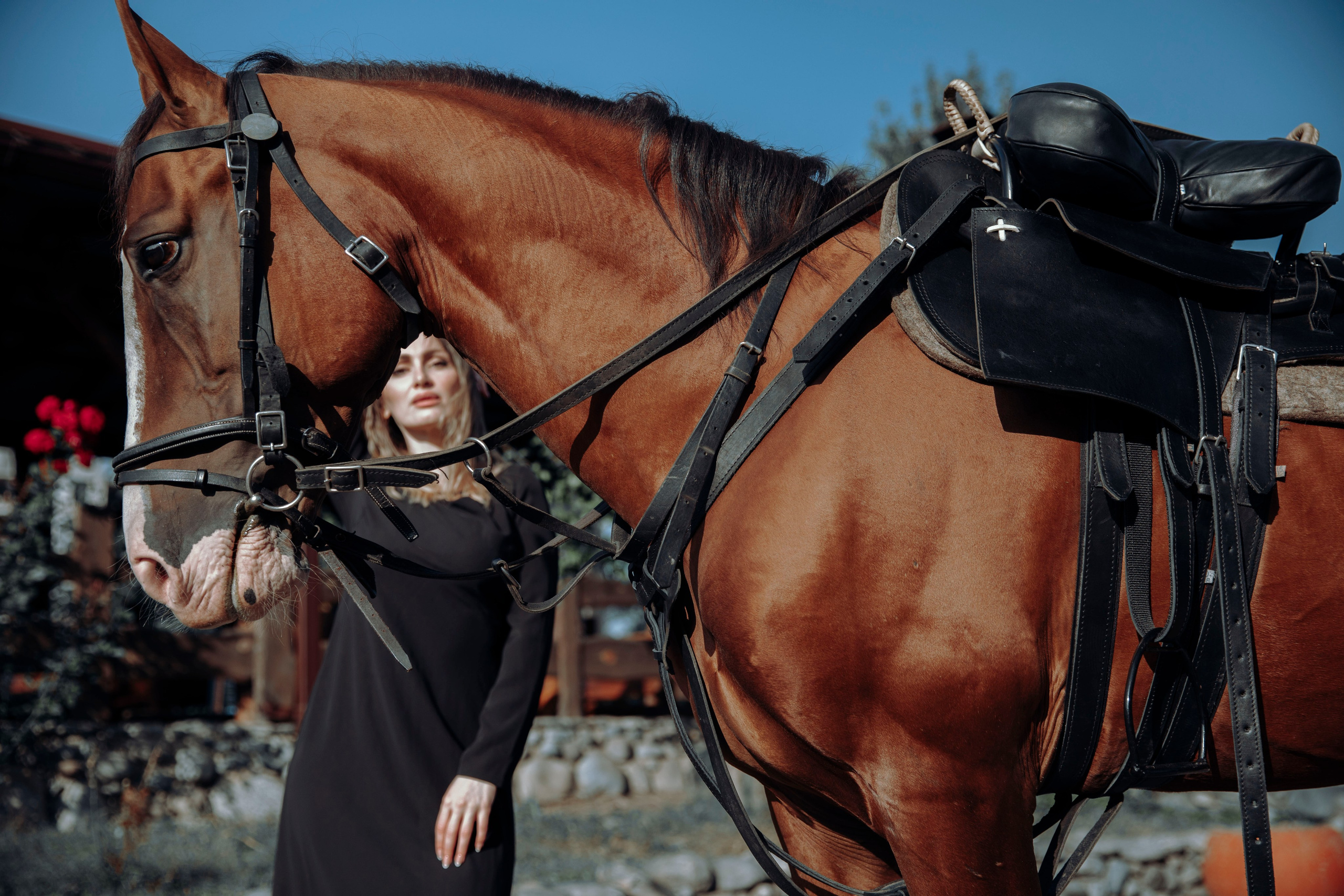 фотосессия с лошадью, фотосессия, лошадь, фотосессия в горах, фото с конем, фотография с лошадью, фотосессия, горы, Кавказ, фотосессия в песках, фотограф Осколкова Ульяна