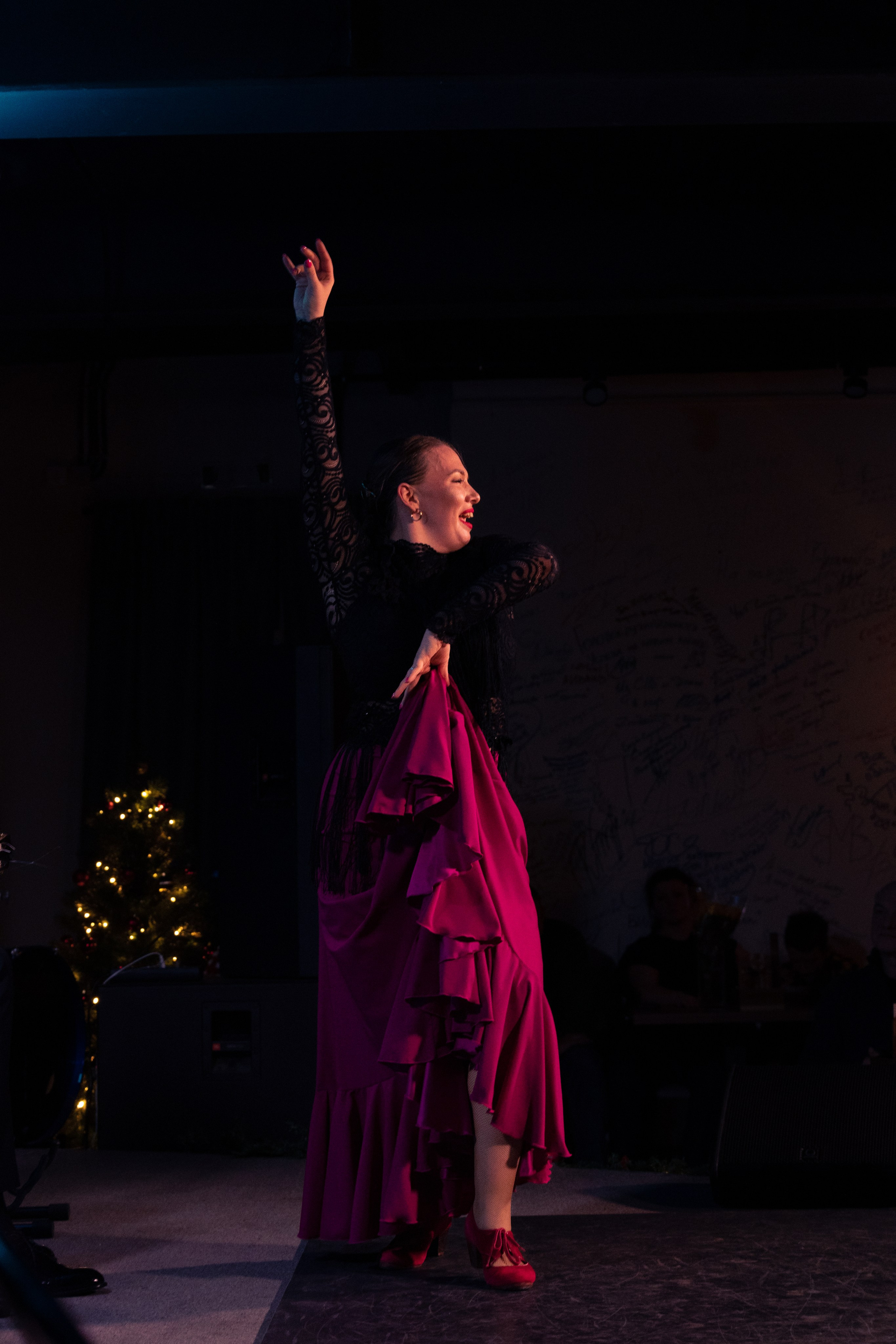 Flamenco 02.01.2025. Индивидуальные съемки, портретный фотограф