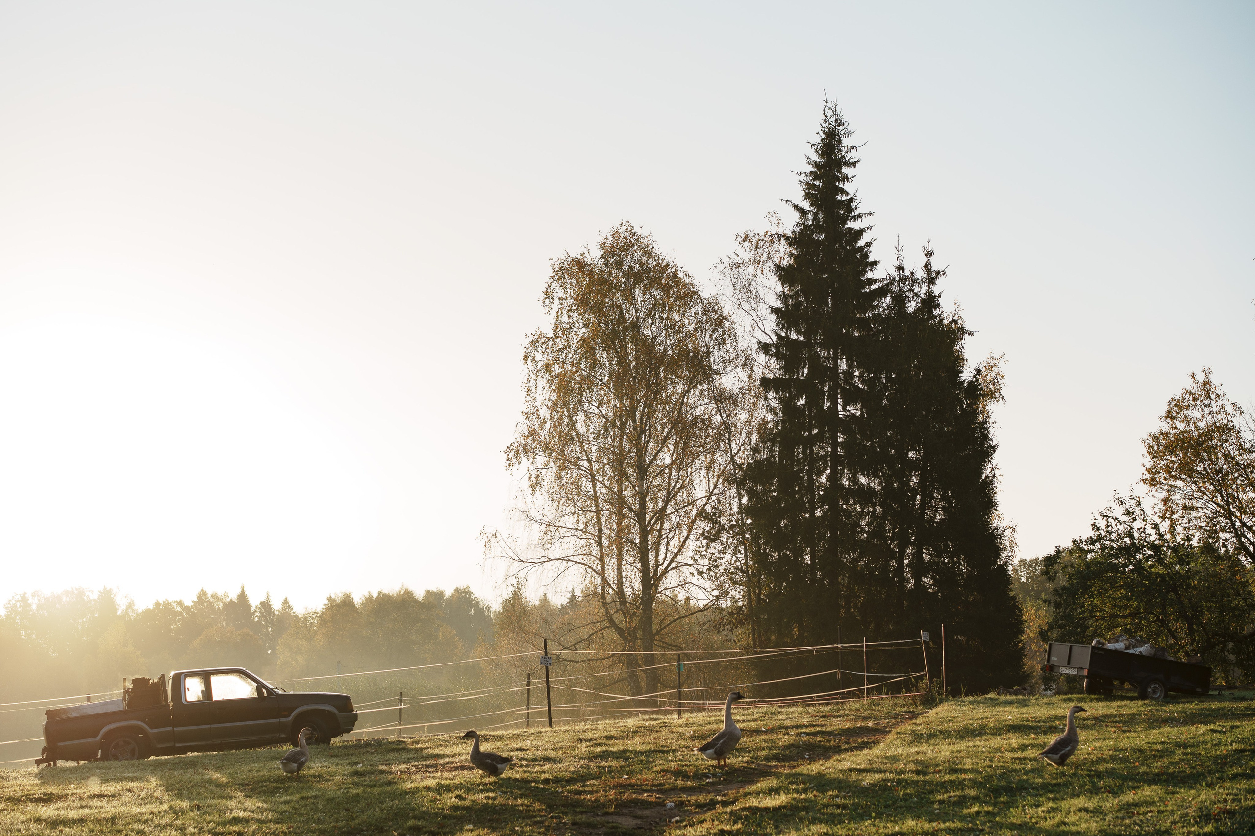 Семейный фотограф Клубкова Мария. Поместье Клу