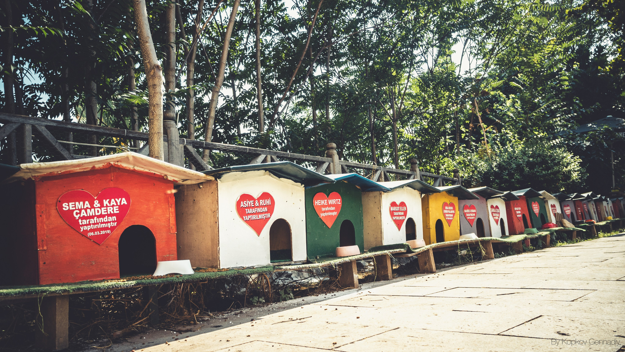 Турция. Свадебный фотограф Копков Геннадий