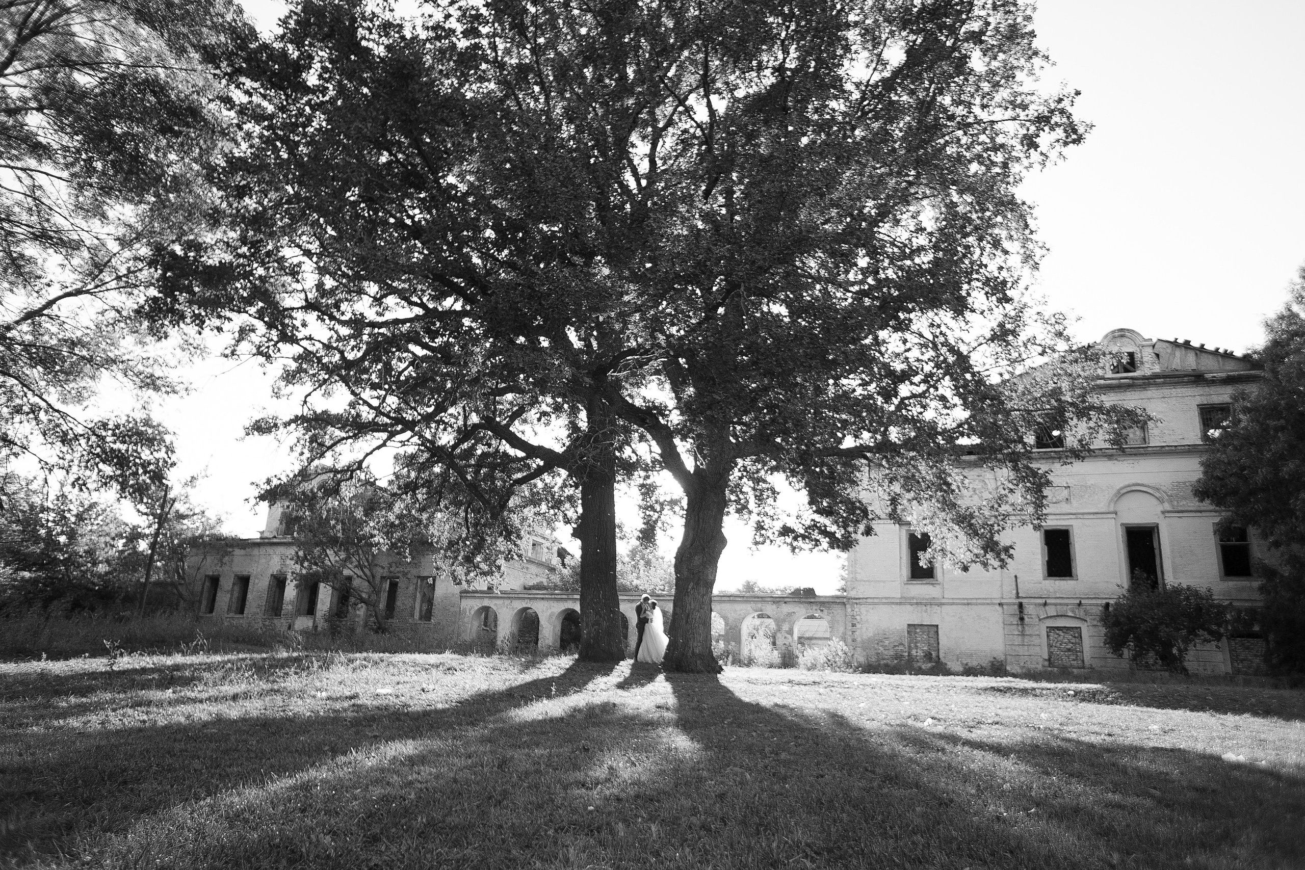 Михаил и Софья. Учаева Екатерина Свадебный и Семейный фотограф г. Сызрань