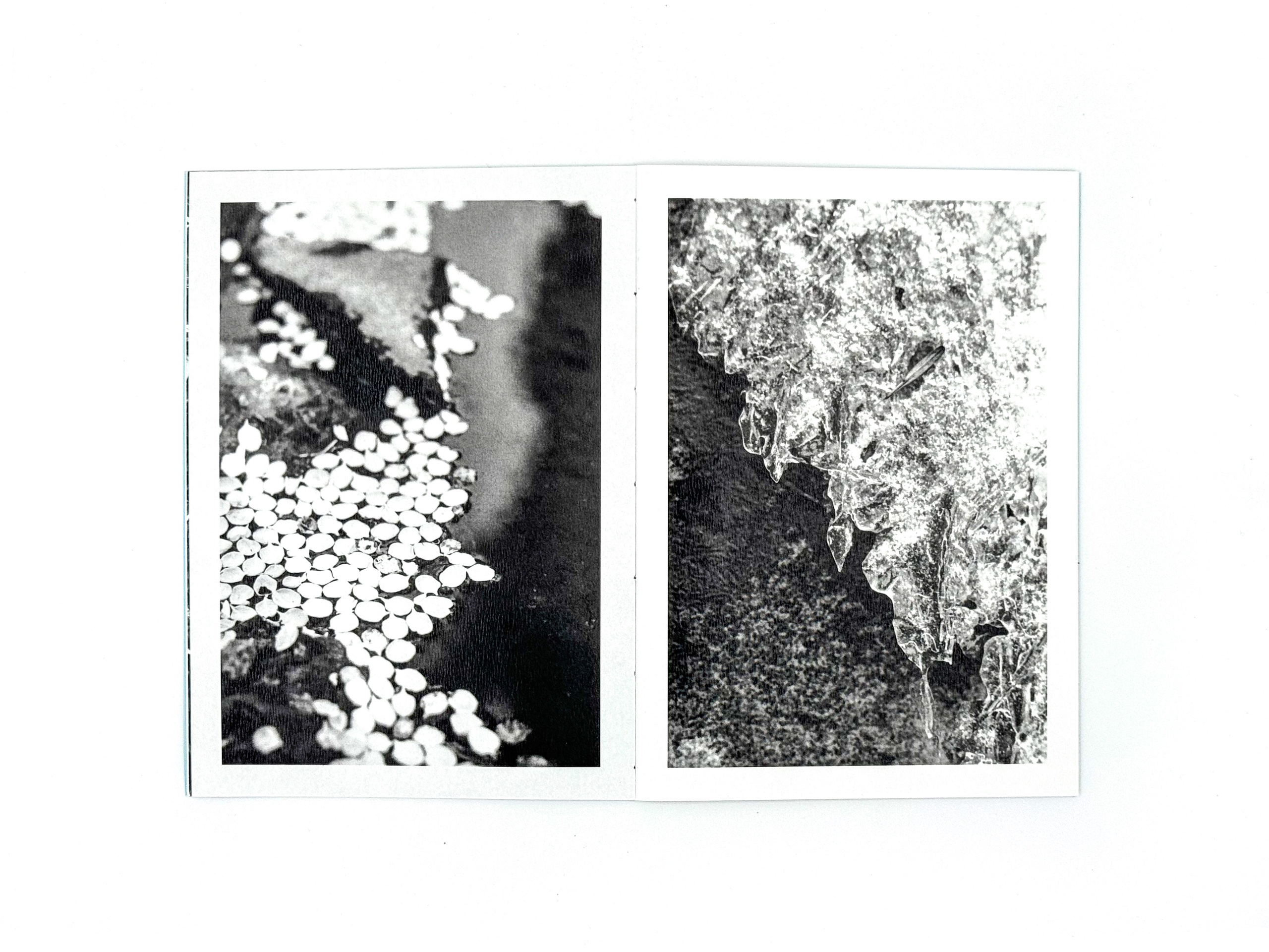 Начало дождя. Лера Круглова