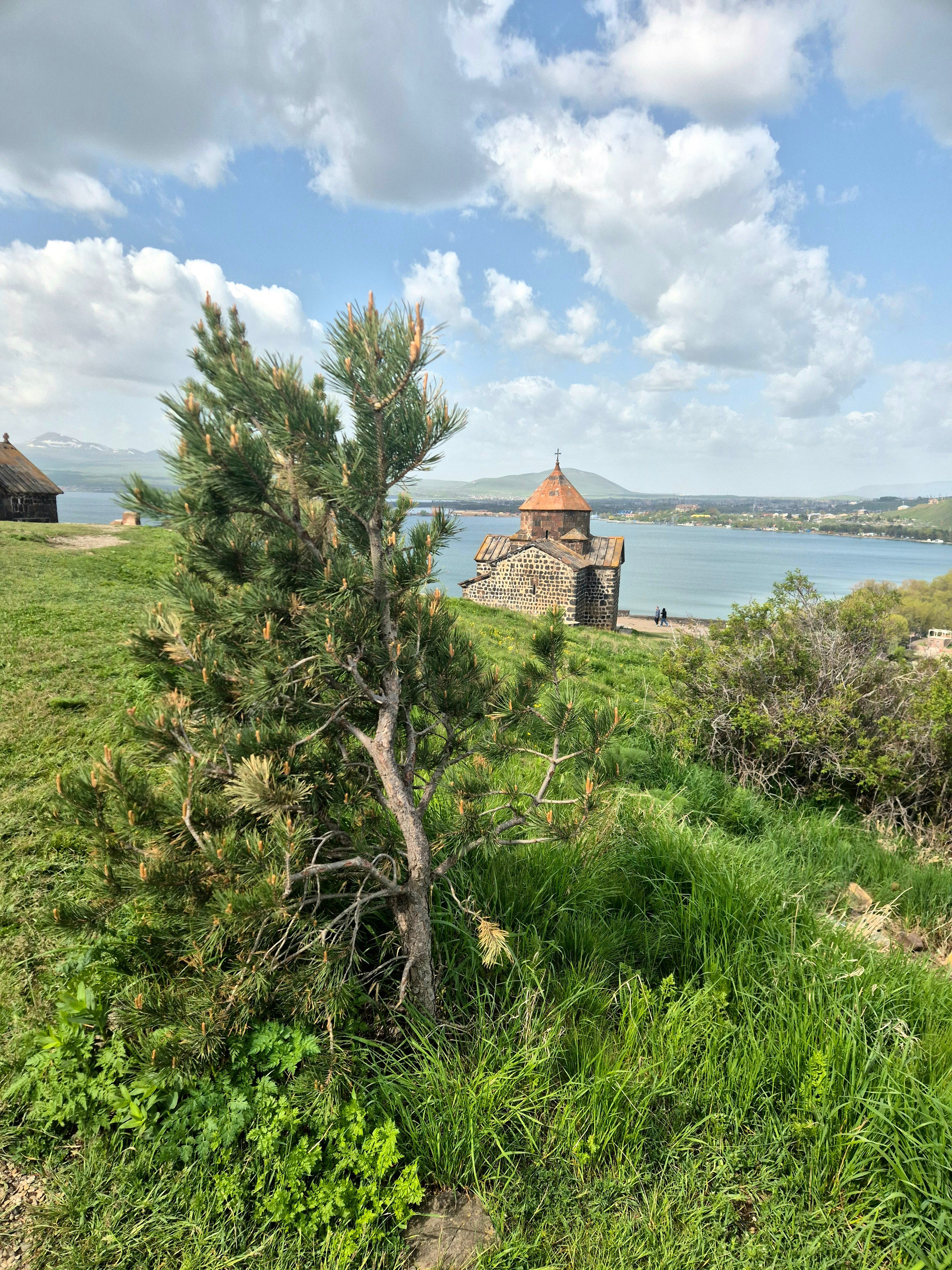 Чаще оказывался здесь в марте - такого буйства растений здесь не видел еще ни разу