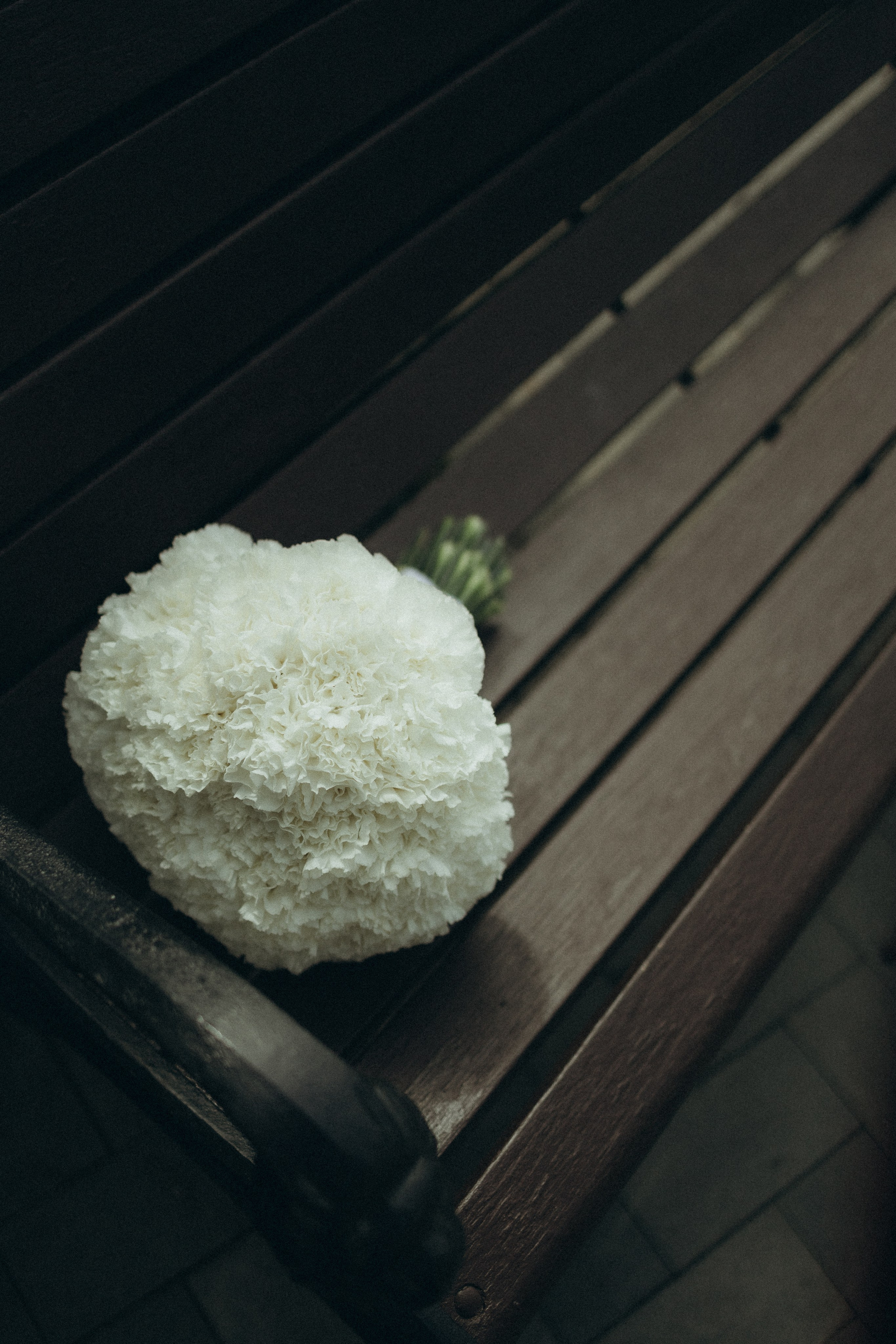 Костя и Оля. Фотограф в Самаре Петрякова Юлия