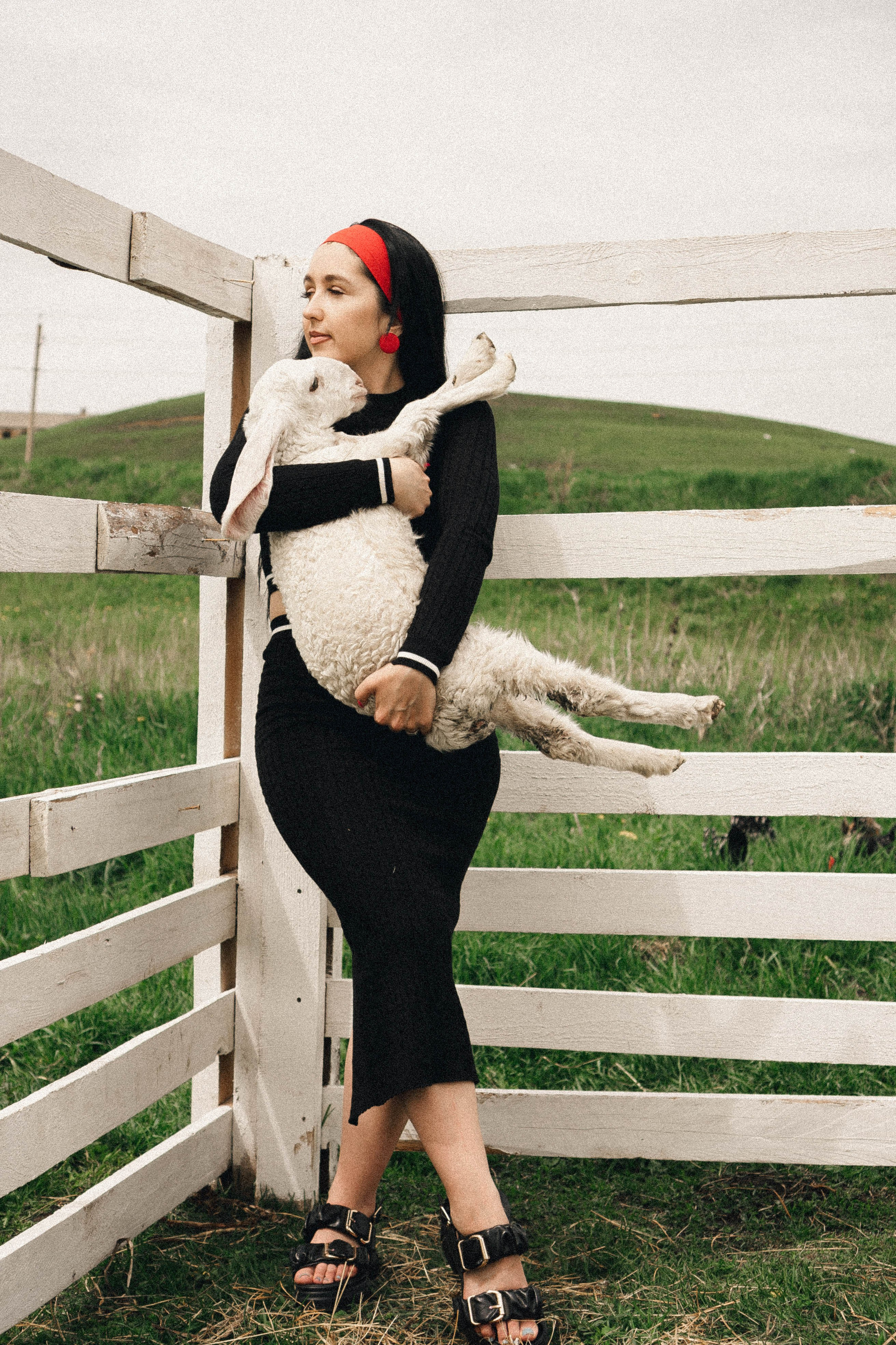 Ферма Альпак. Профессиональный фотограф, Санкт-Петербург — Виктория Богомолова