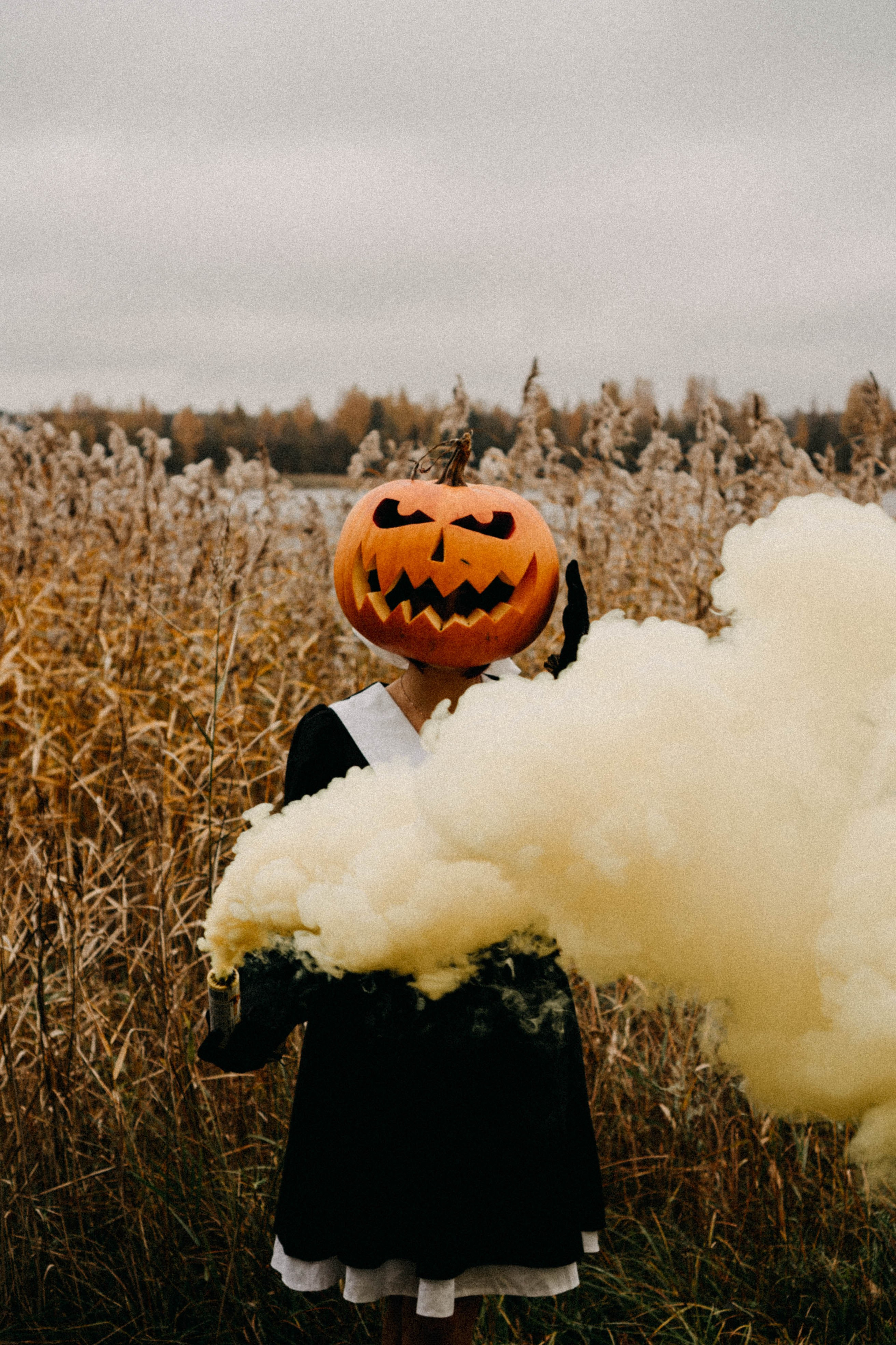 Осеняя. Профессиональный фотограф, Санкт-Петербург — Виктория Богомолова