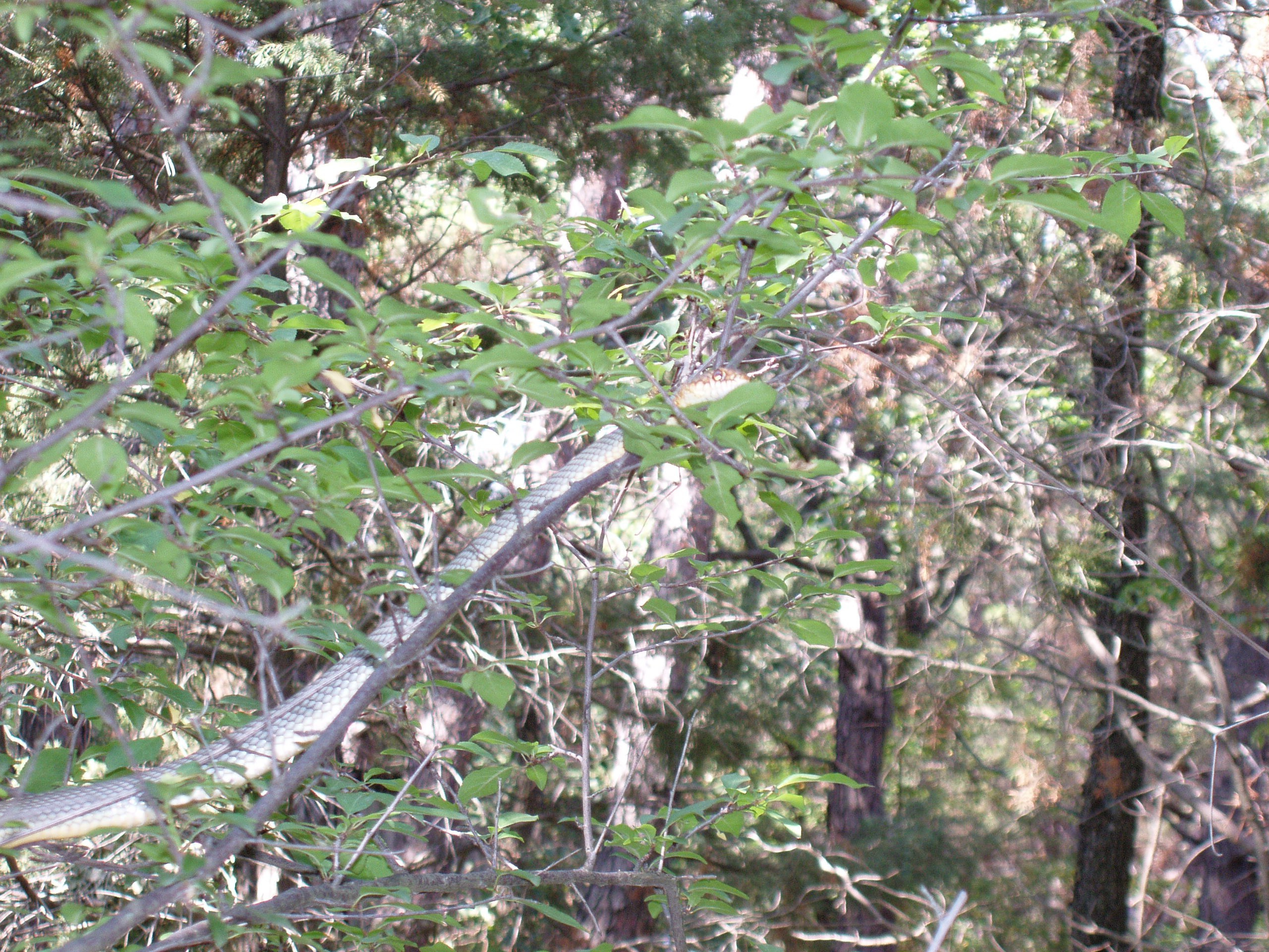 Отпуск 13.07-24.08. Семейный, Свадебный фотограф СПБ Питер— Романова Екатерина