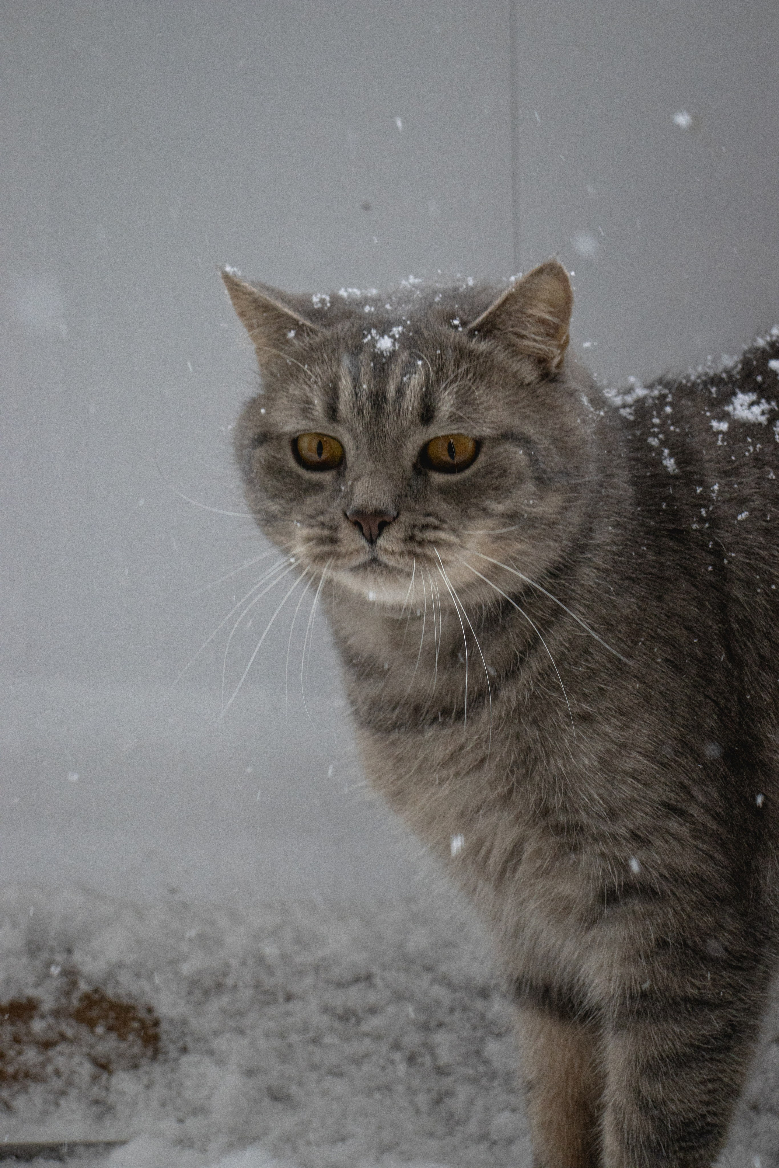 М А Р Т И Н. — Digital Noise —