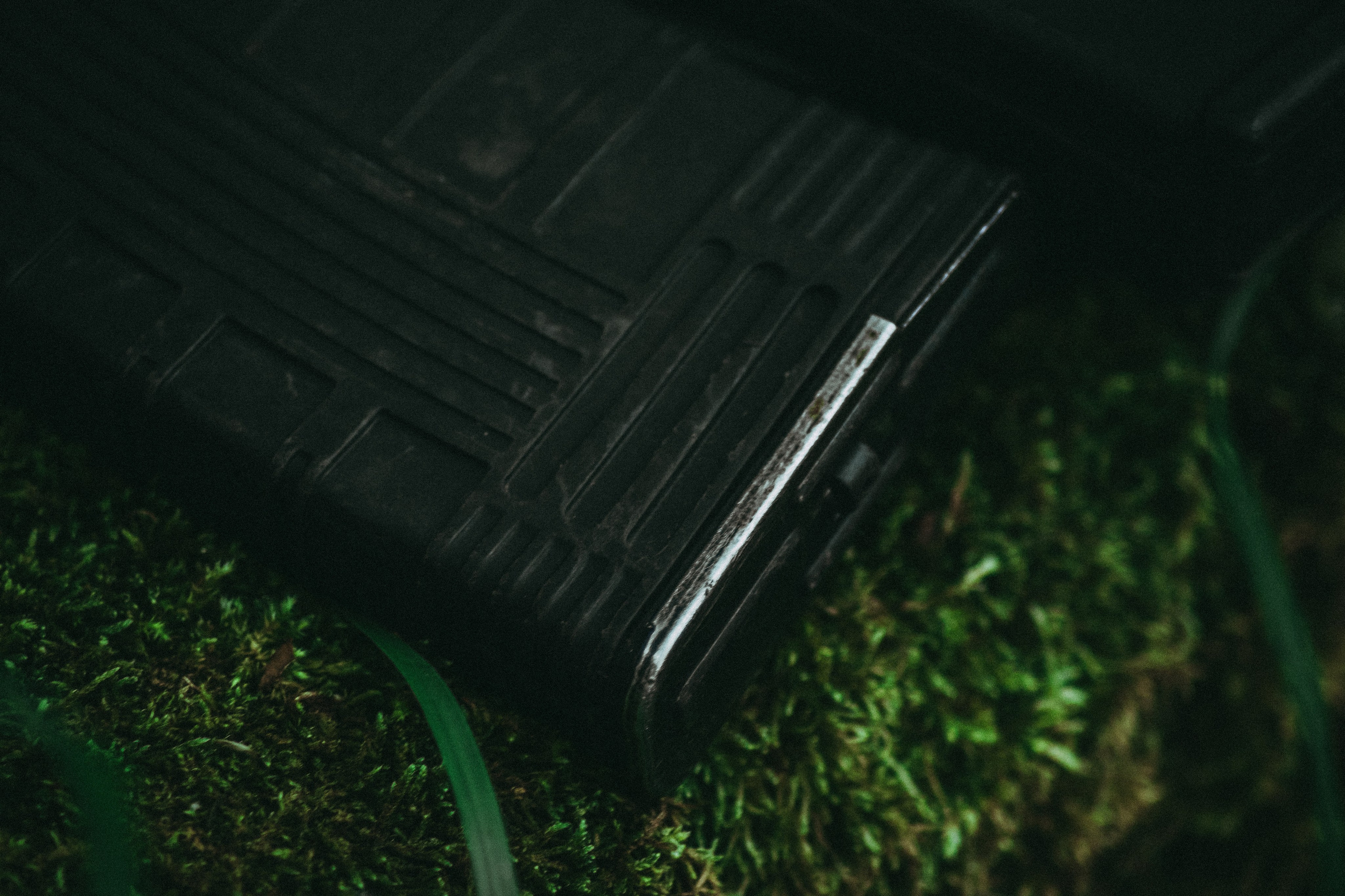 Никита П. (Лесной Массив). — Digital Noise —