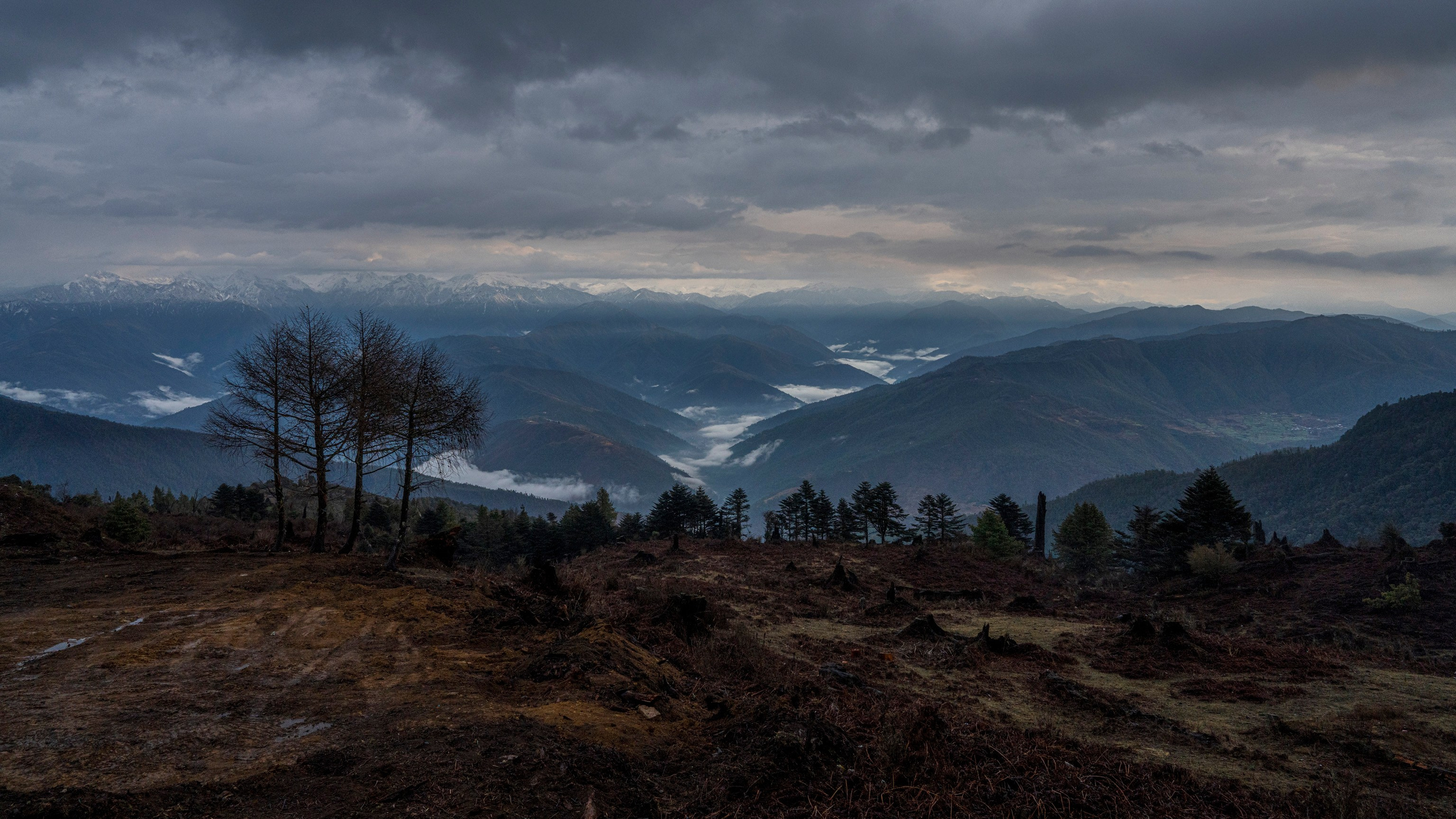 India travel. Фотограф Сергей Танков