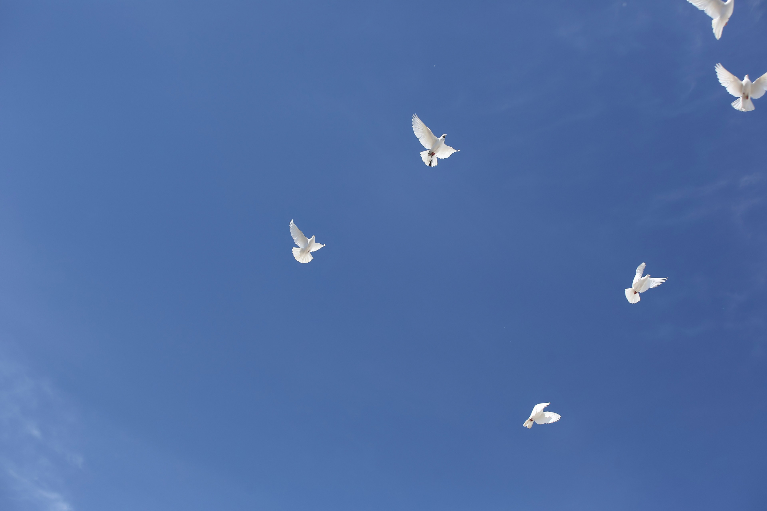 ЛИНЕЙКА «ПОСЛЕДНИЙ ЗВОНОК» 9 ШКОЛА 2024 г МЦЕНСК. ТВОЙ АЛЬБОМ / ТВОИ ПРАВИЛА