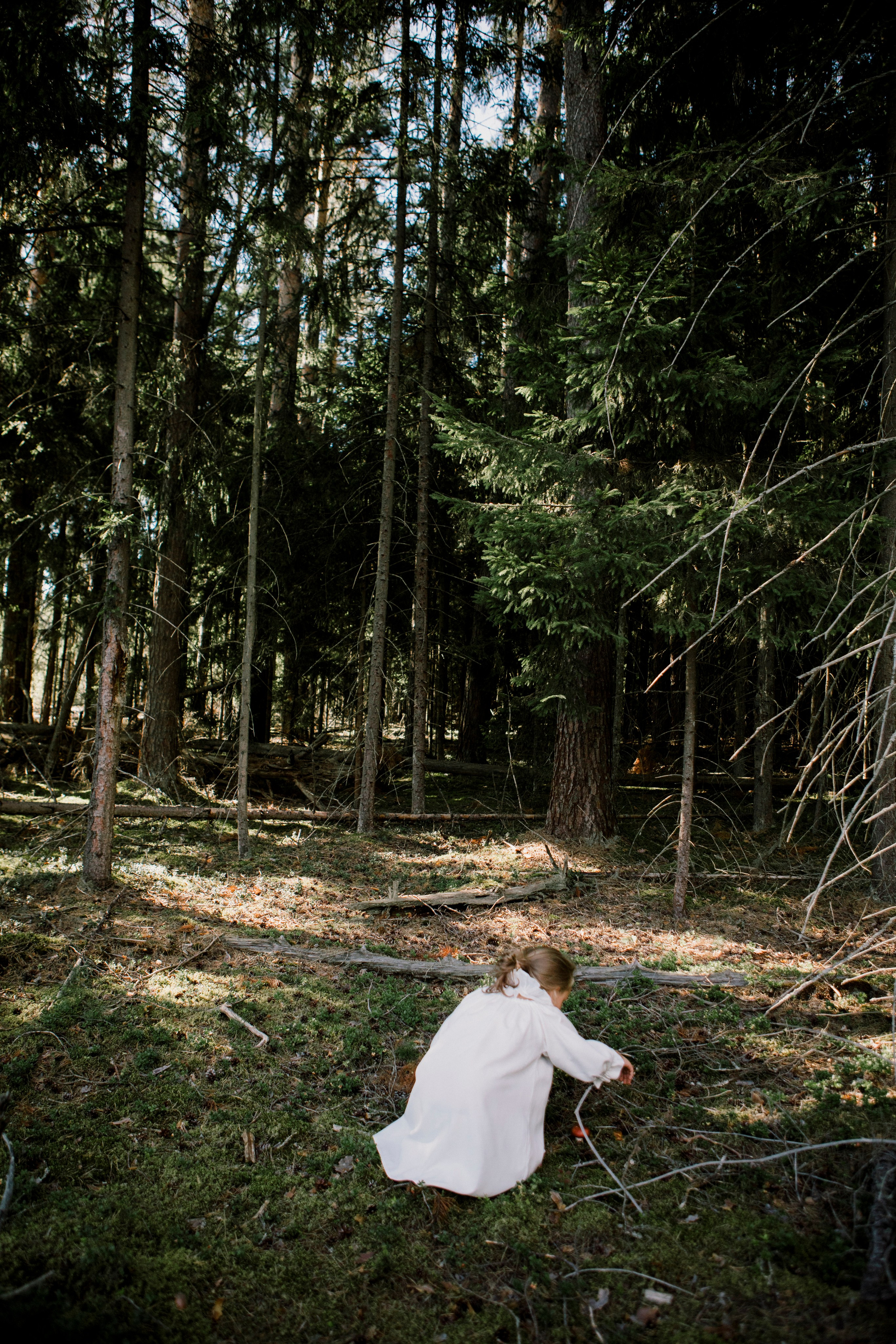 Грибы. Ольга Пилант. АРТ, бэкстейдж, свадебная и семейная фотография, городской портрет, интерьерная фотография