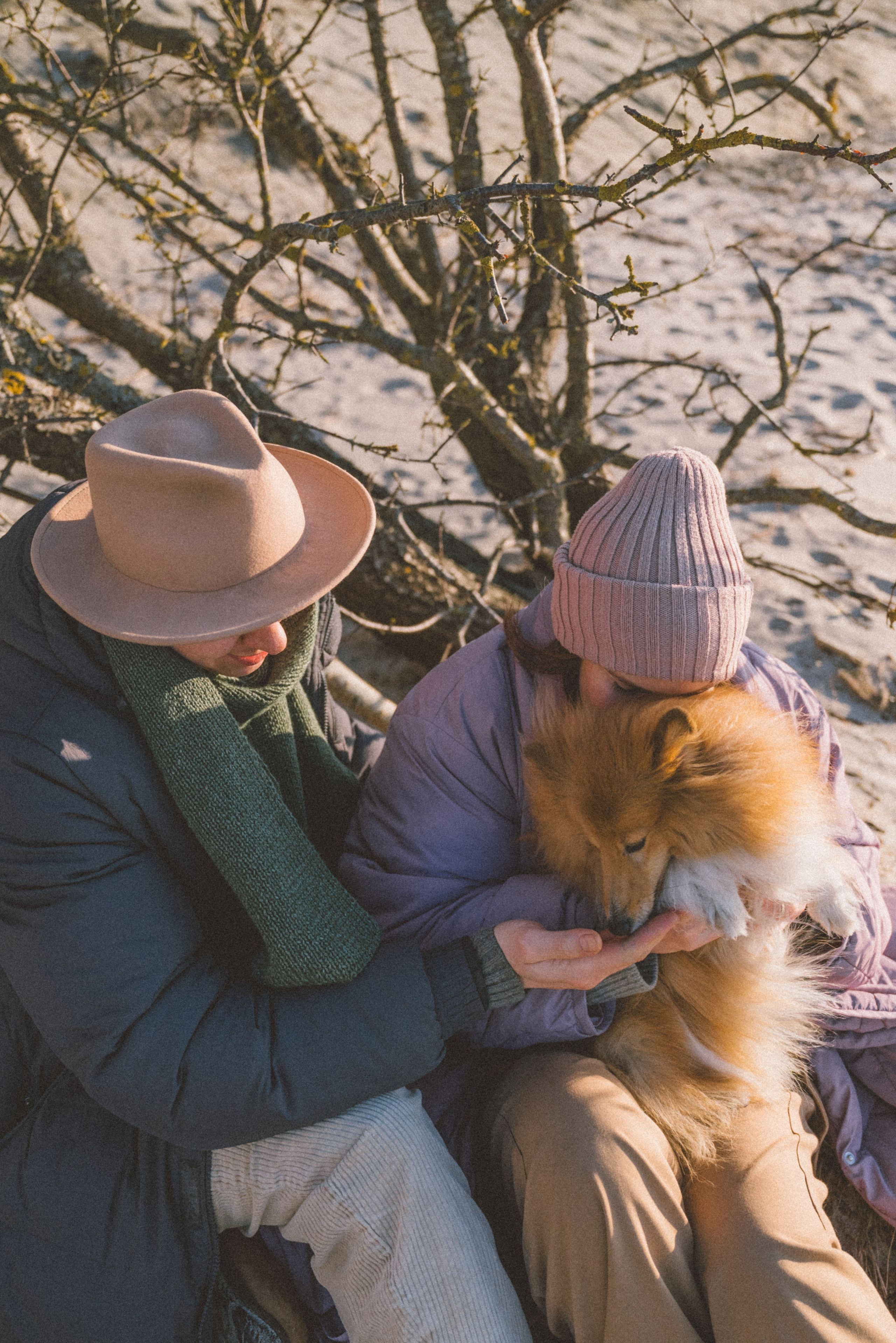 Анна и Артем. Фотограф Калининград Ангелина Воробьева
