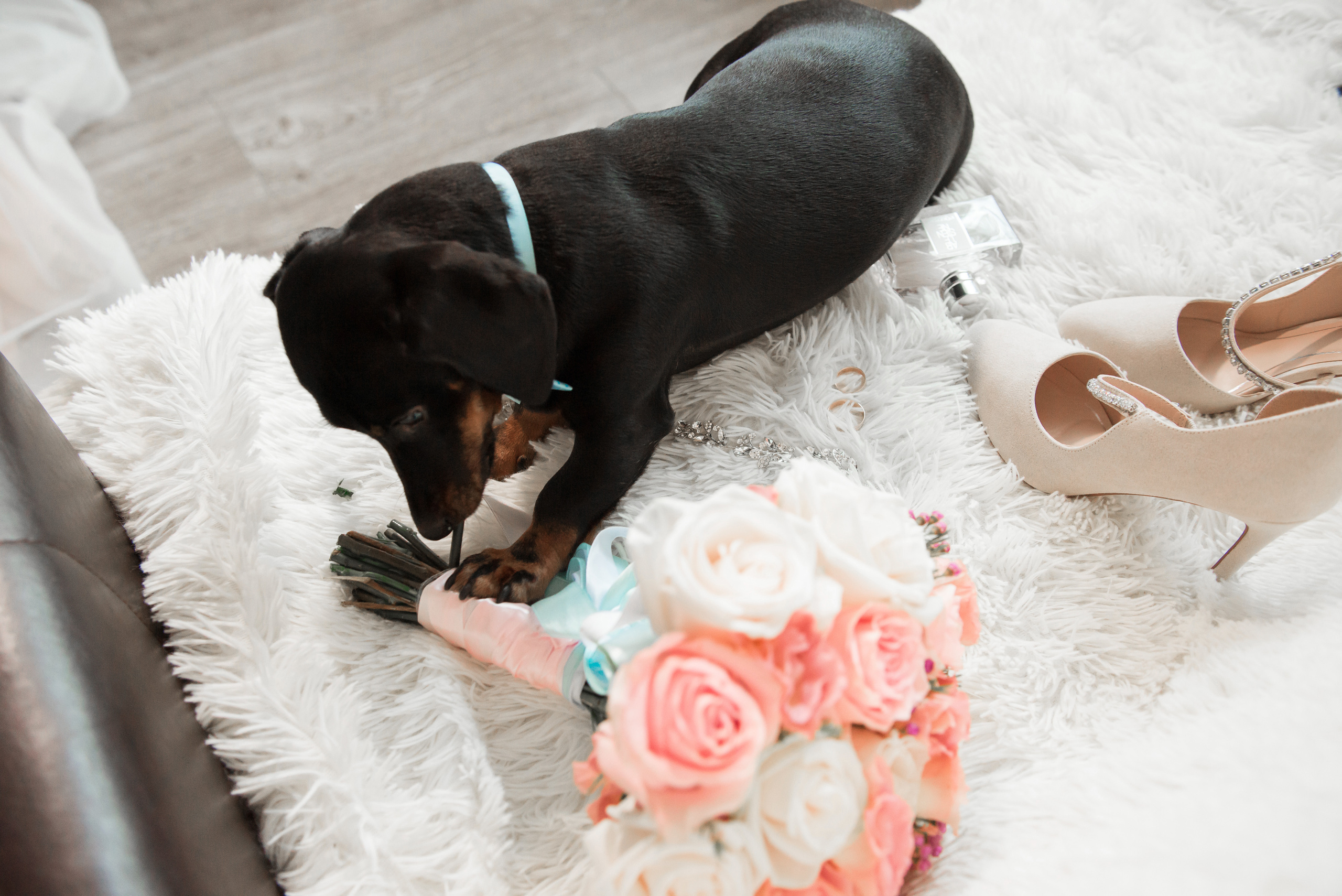 СВАДЬБЫ. Фотограф Сергей Некрасов