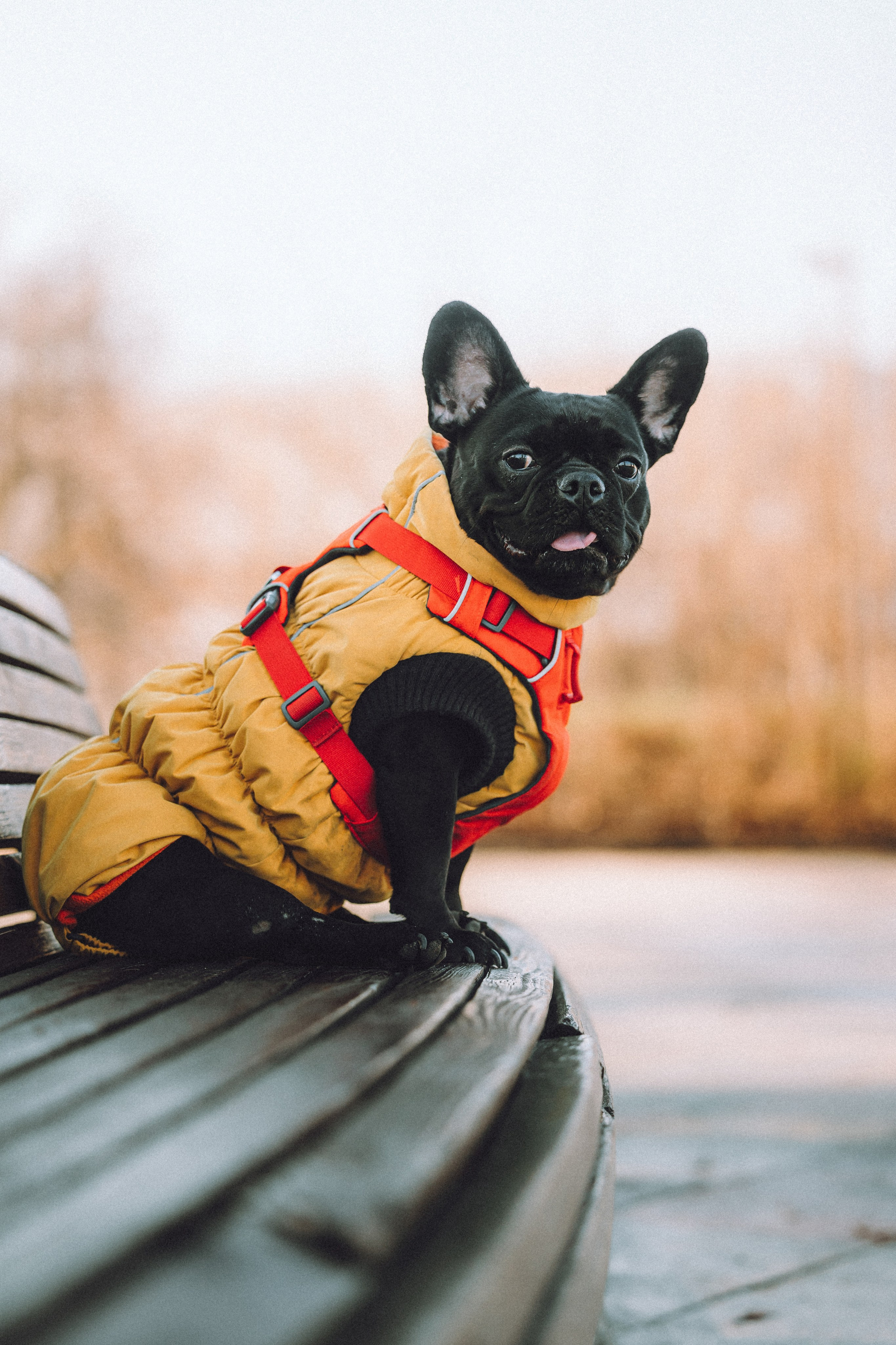 Саша, Дима и Шпуля