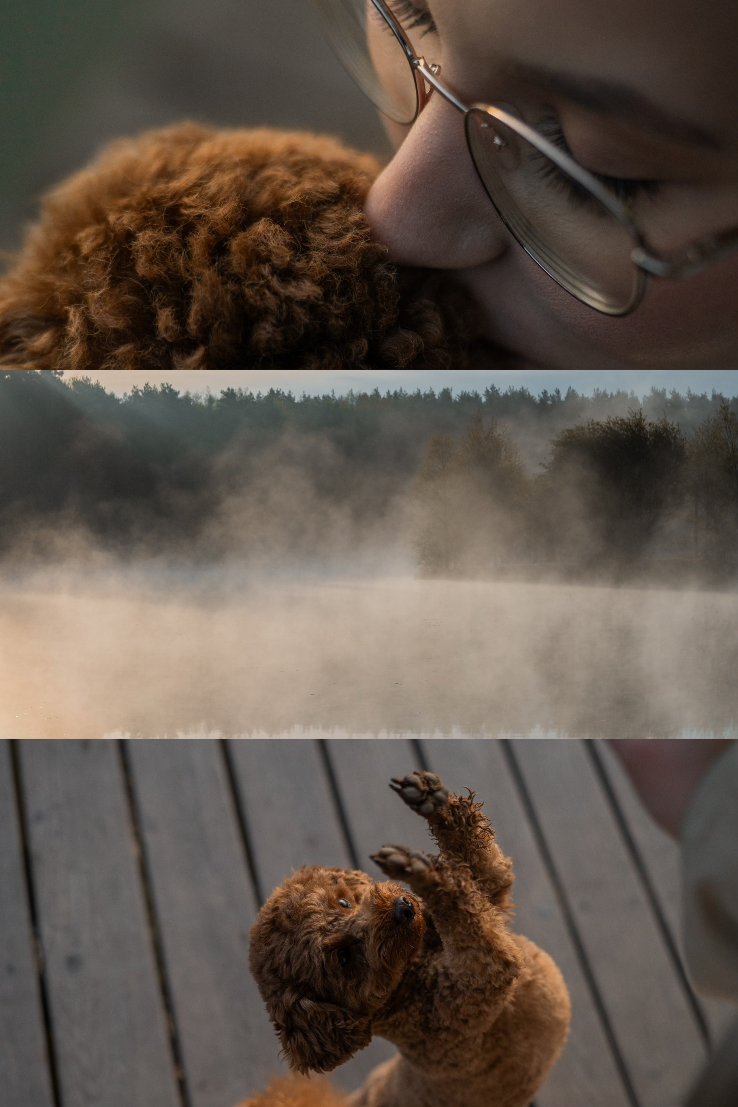 Лия и Чарли. Фотограф анималист в Москве и Санкт-Петербурге Свиридова Анна