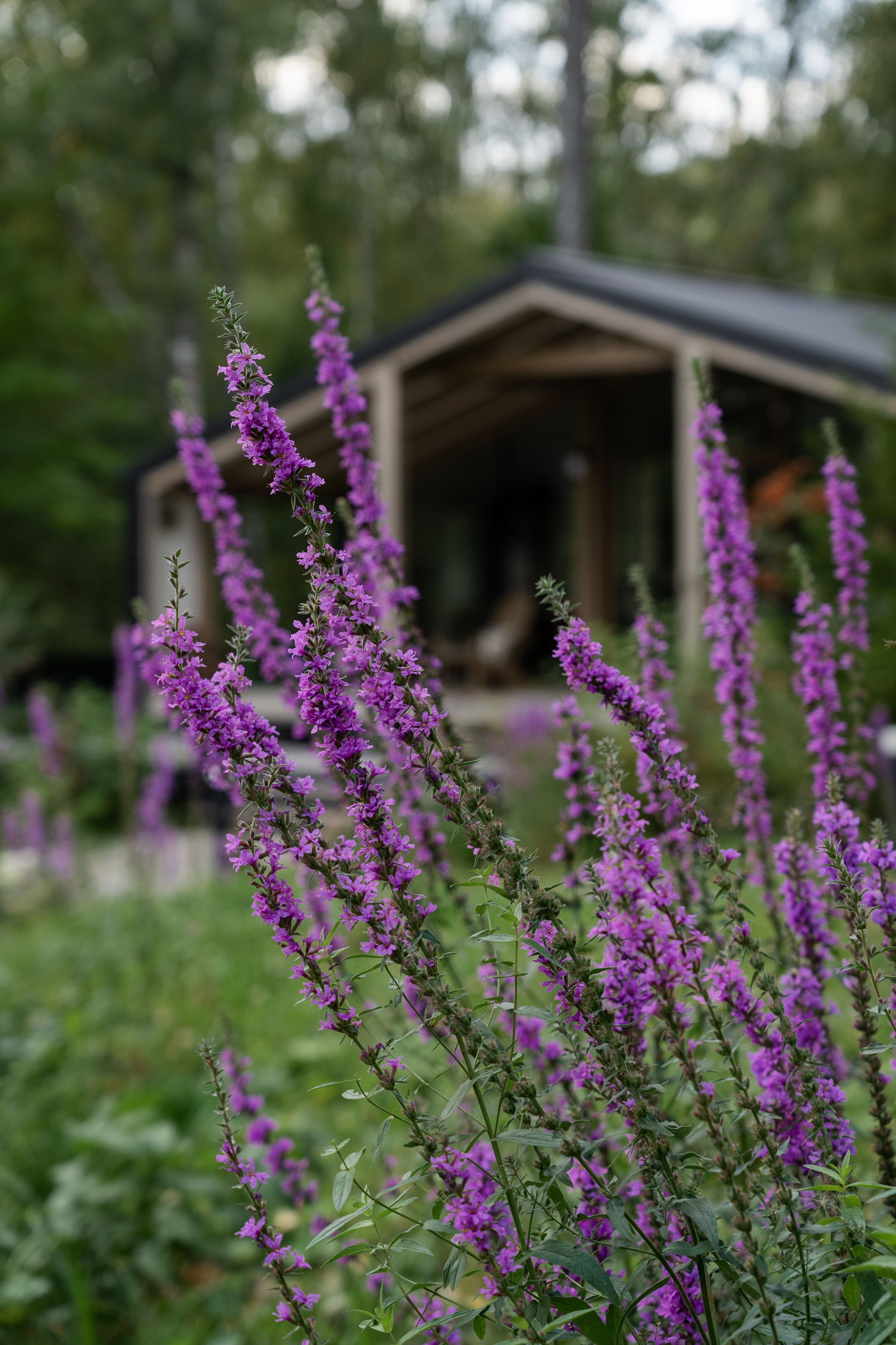 DublDom. Артамонов Александр | Архитектурный и ландшафтный фотограф