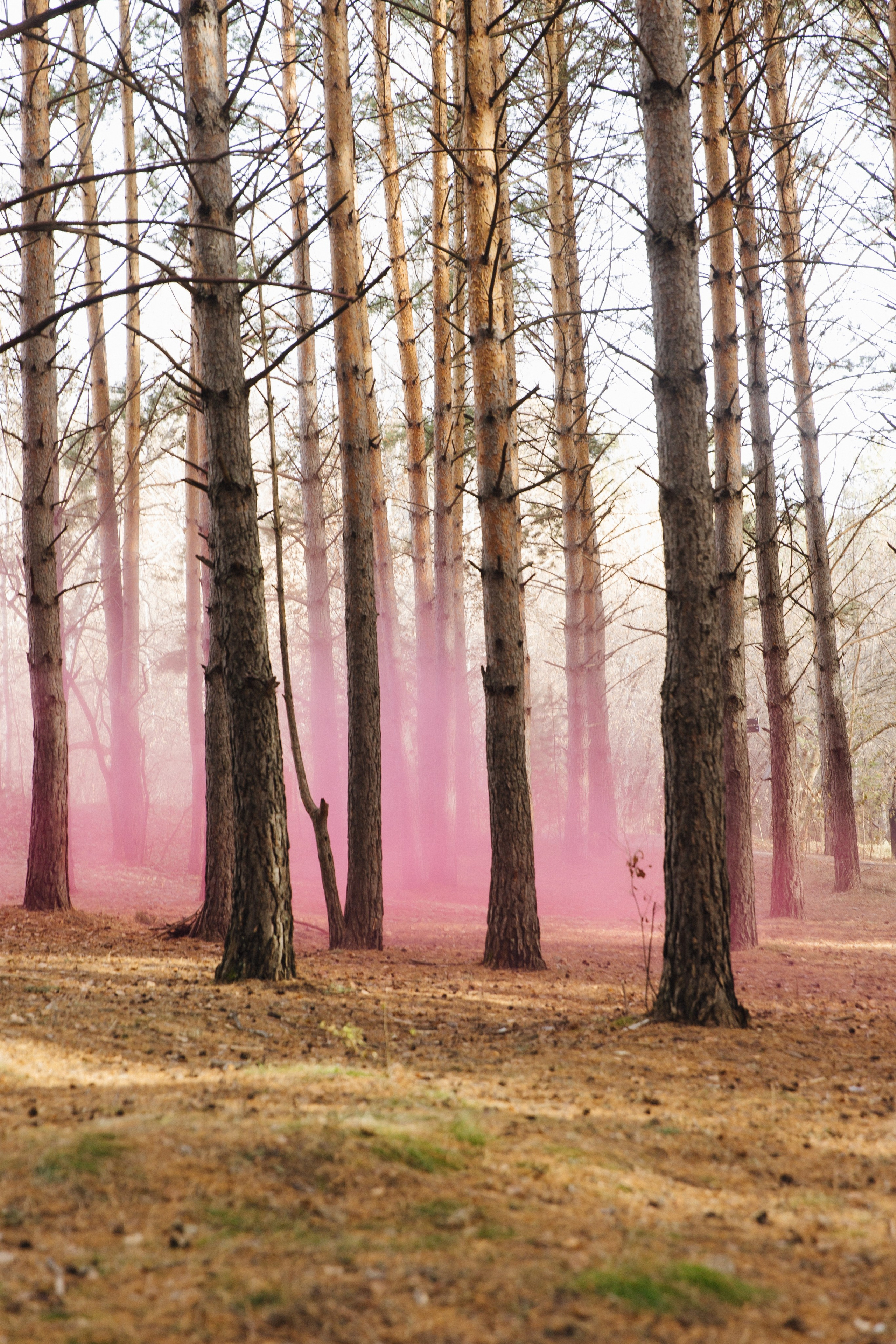 Чувства. Свадебный фотограф в Красноярске Абраменко Настя