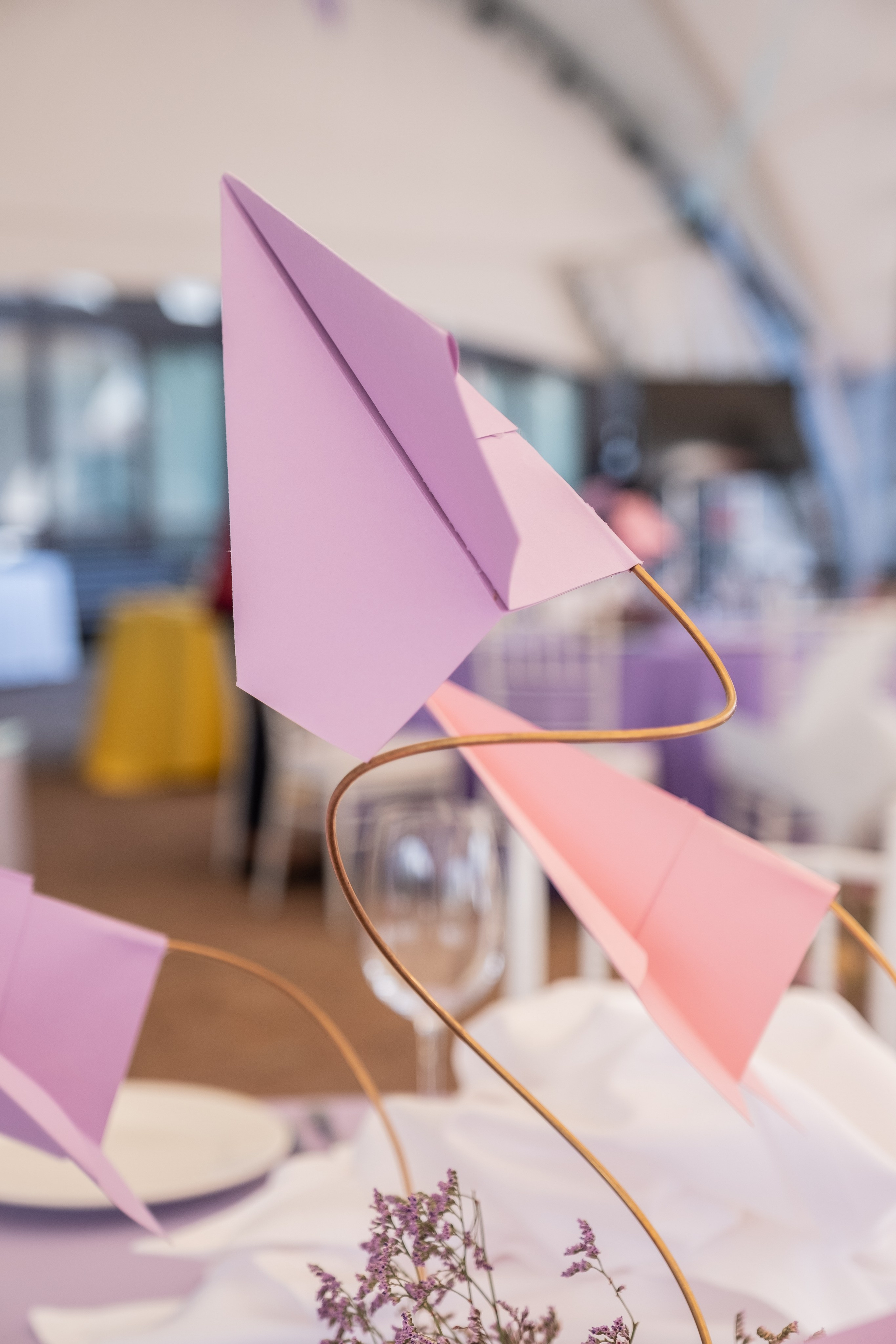 Фестиваль чувств. Свадебный Видеограф Фотограф в Сочи