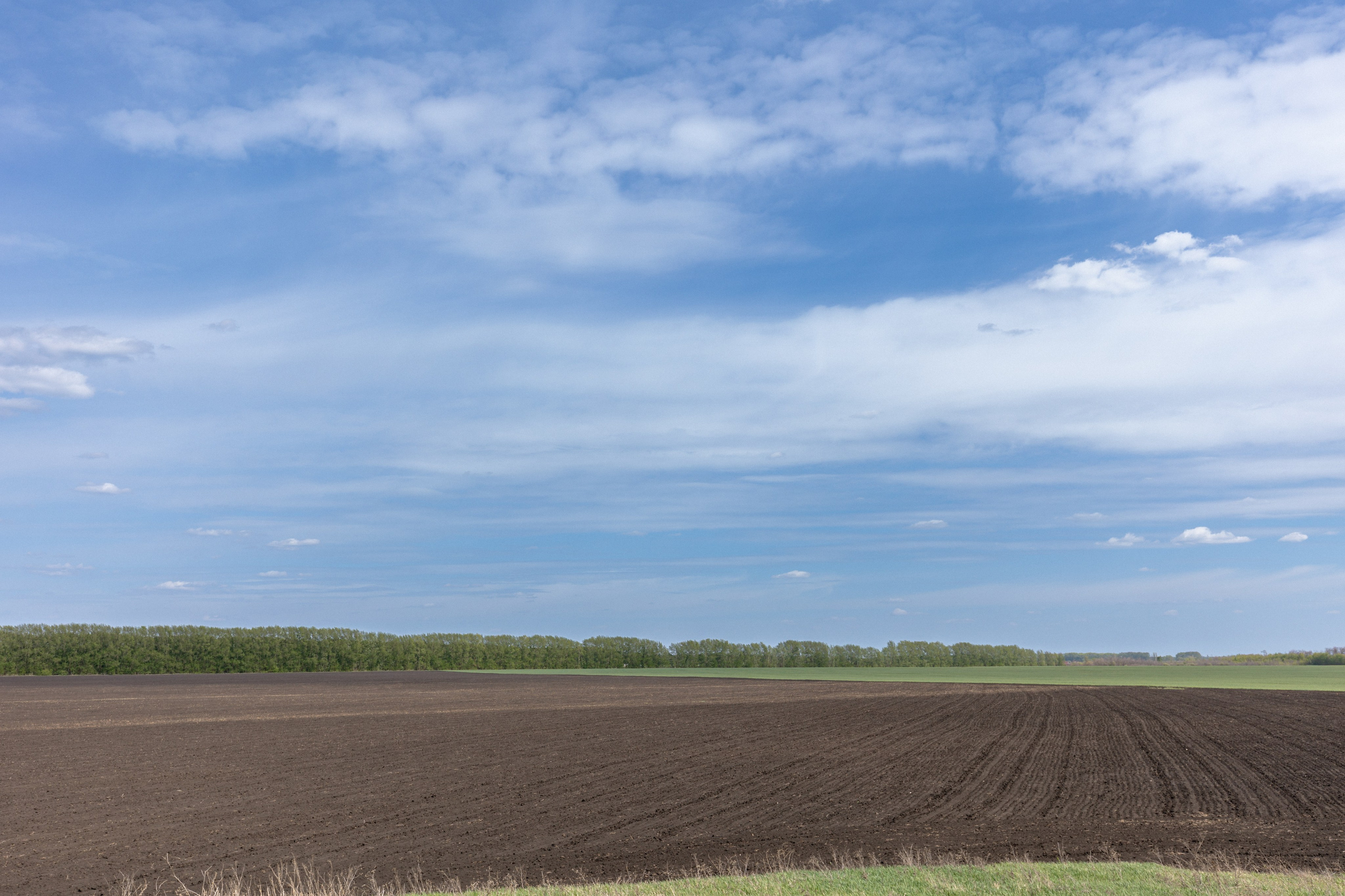 Земельный участок с объектами на нём. Владислав Волков | Фотография и видеосъемка в Воронеже