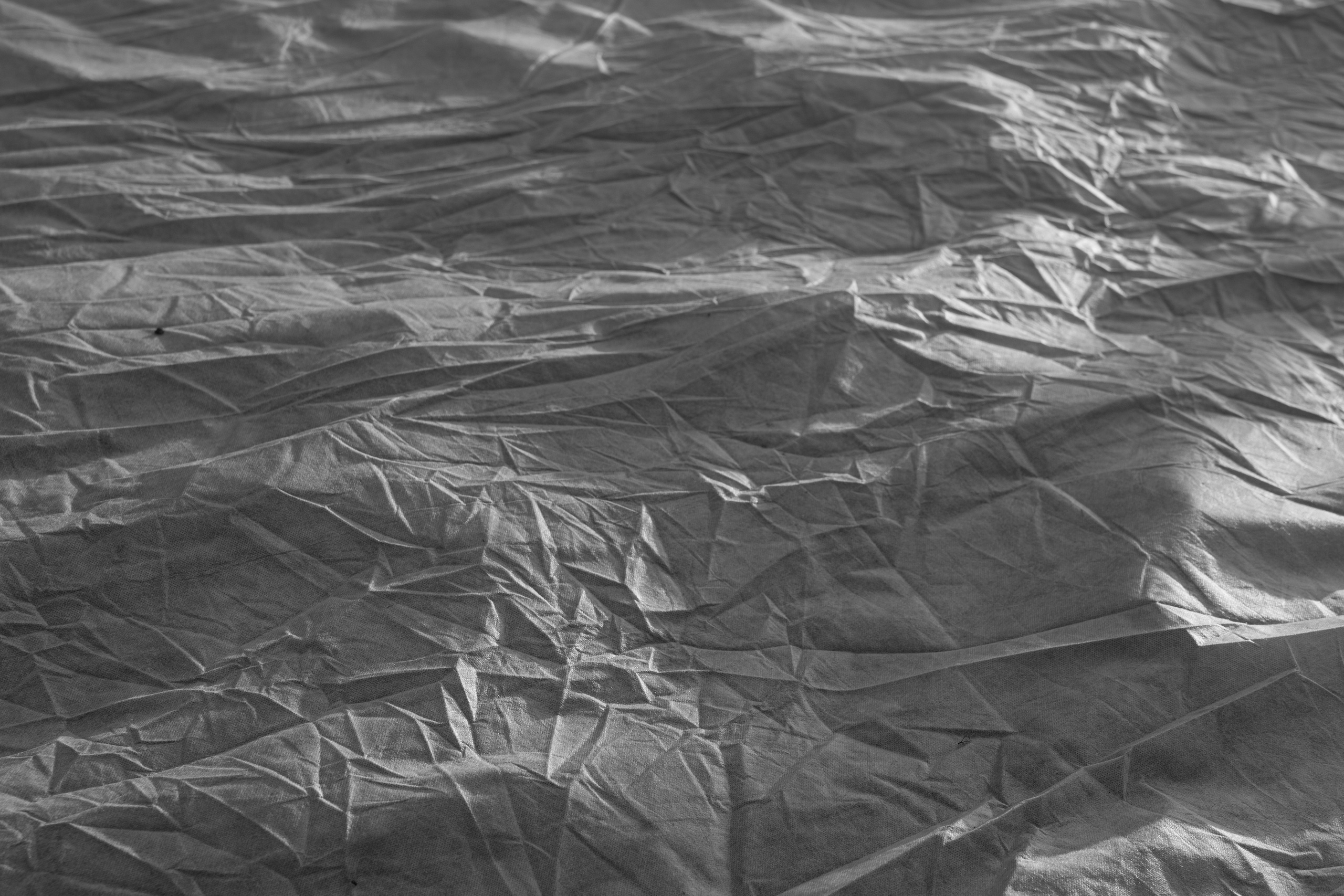 Art prints. Фотограф алина стерхова, алина стерхова фотограф, фотограф москва