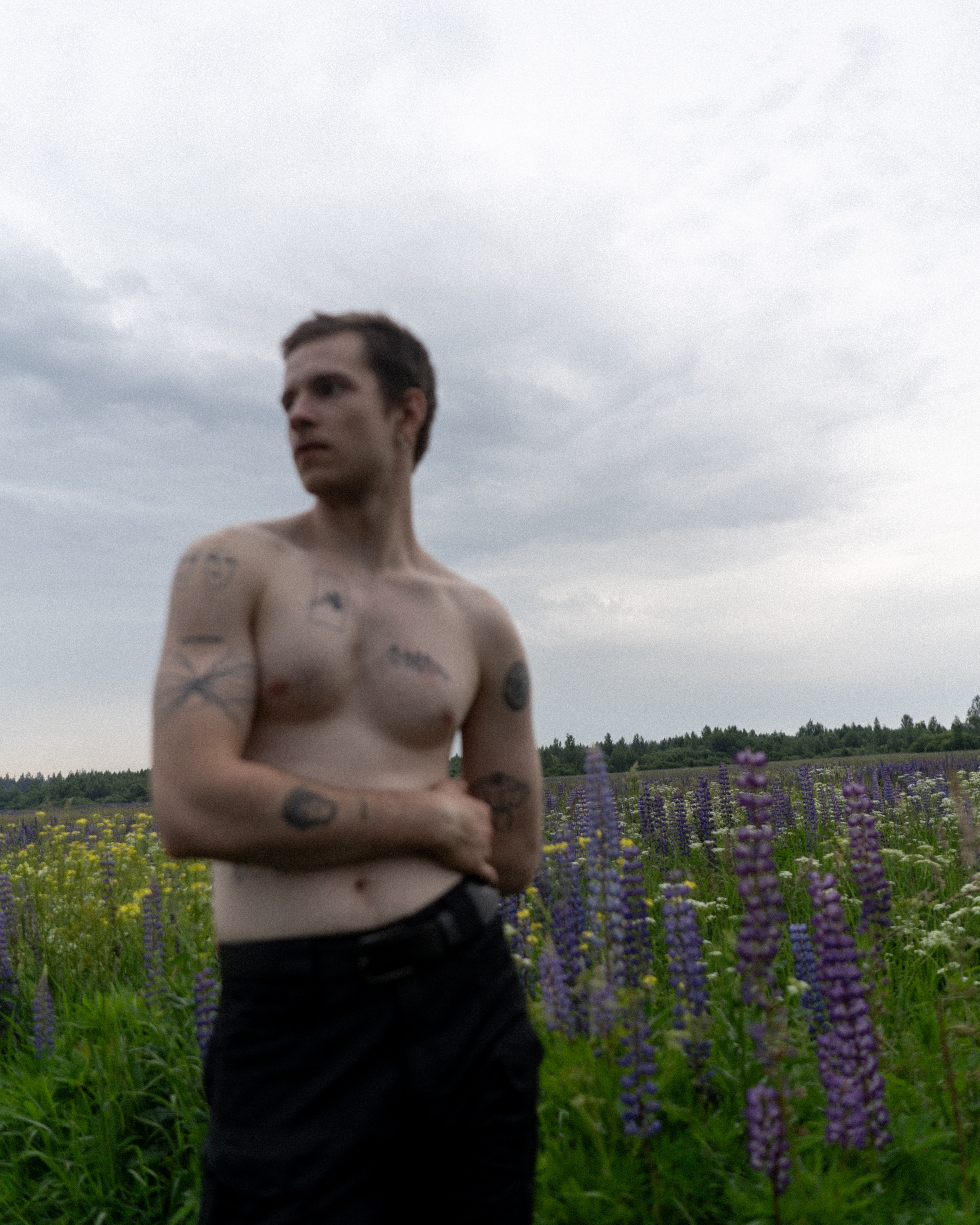 В поле люпинов. Фотограф Елизавета Потешкина