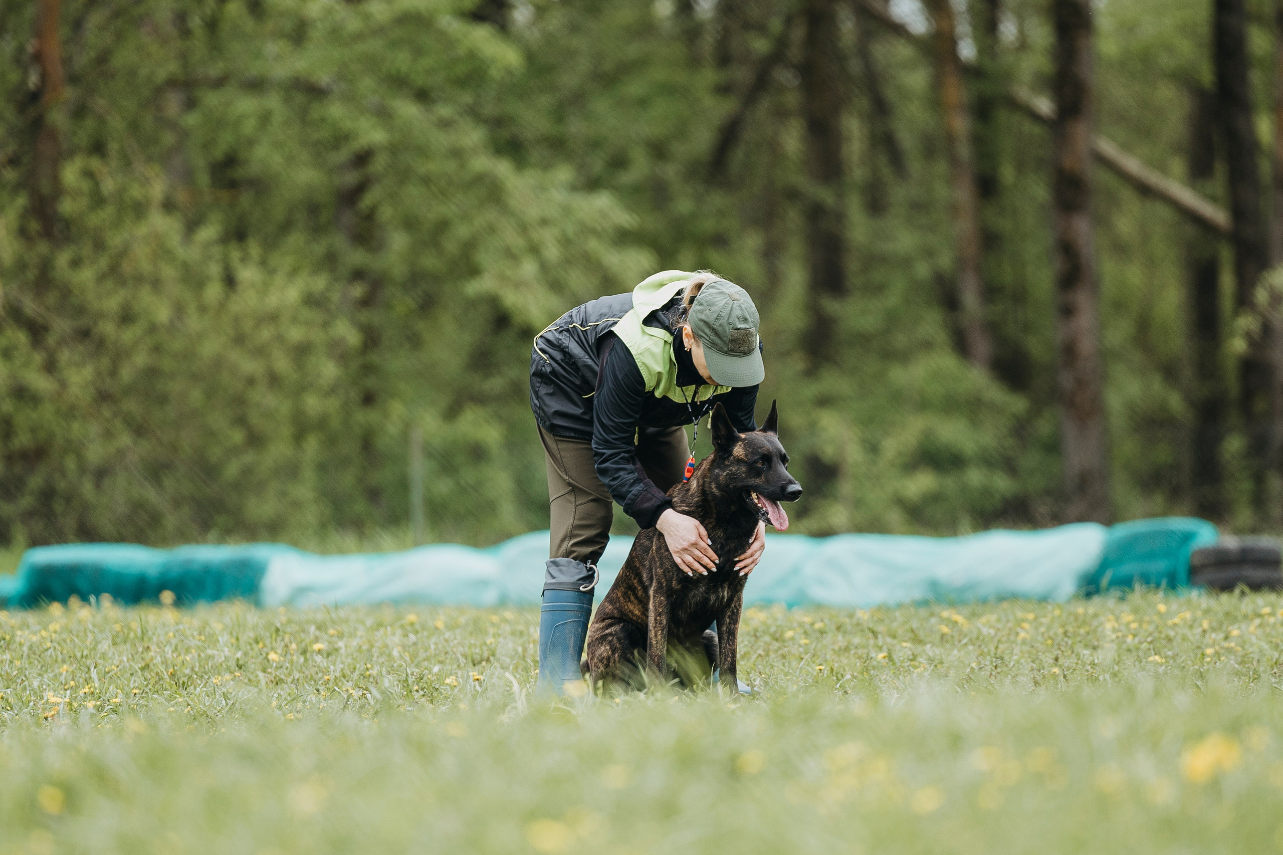 26.05.25 г. Пушкин квалификационные соревнования. Фотограф-анималист Анна Маринич