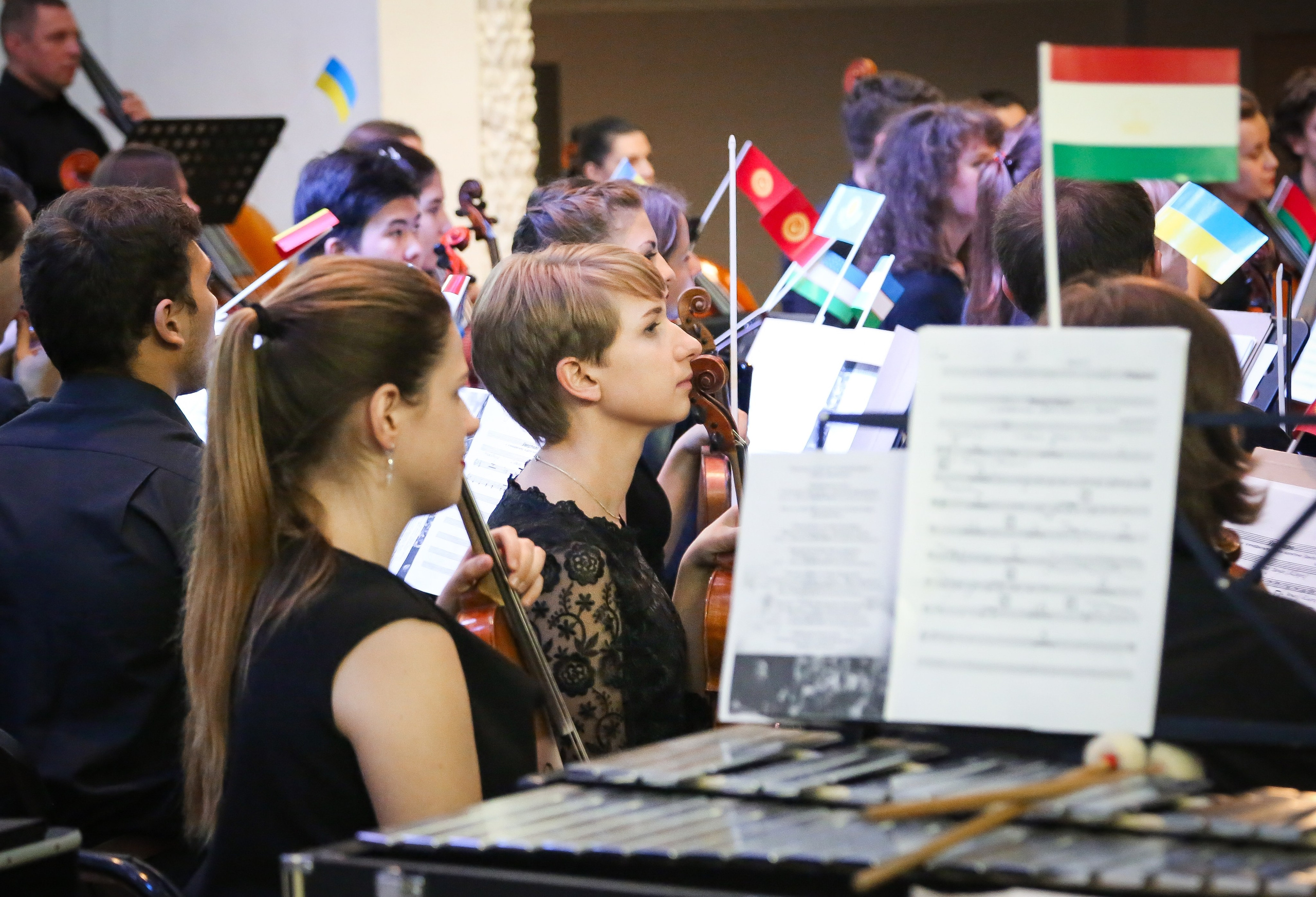 Музыка без границ. Концерт Молодежного симфонического оркестра СНГ в Минске. Дарья Письменюк / Darya Leitstern — фотограф, музыкант, журналист, путешественник