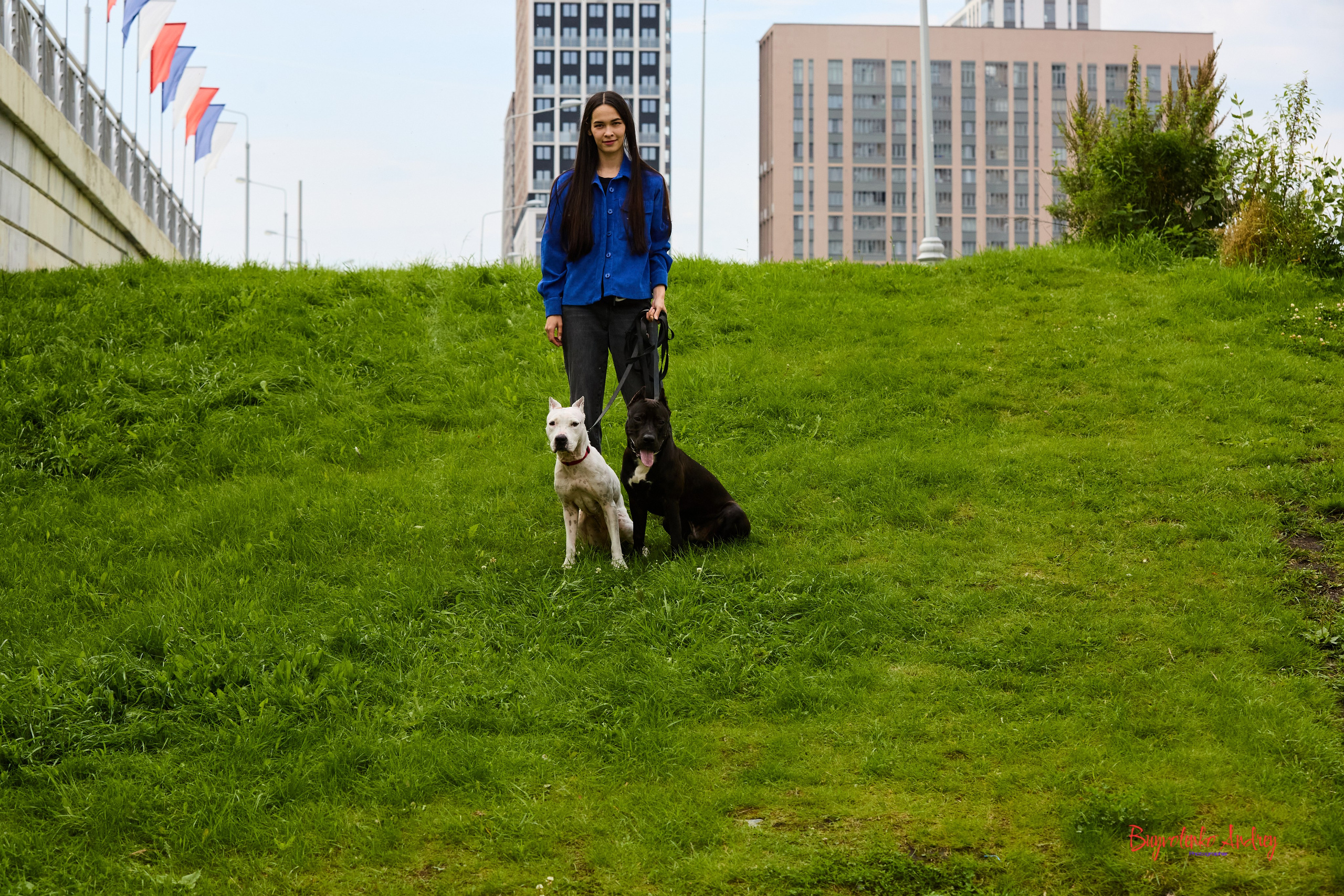 Проект фотопрогулка с хвостиком. Buyvolenko Andrey