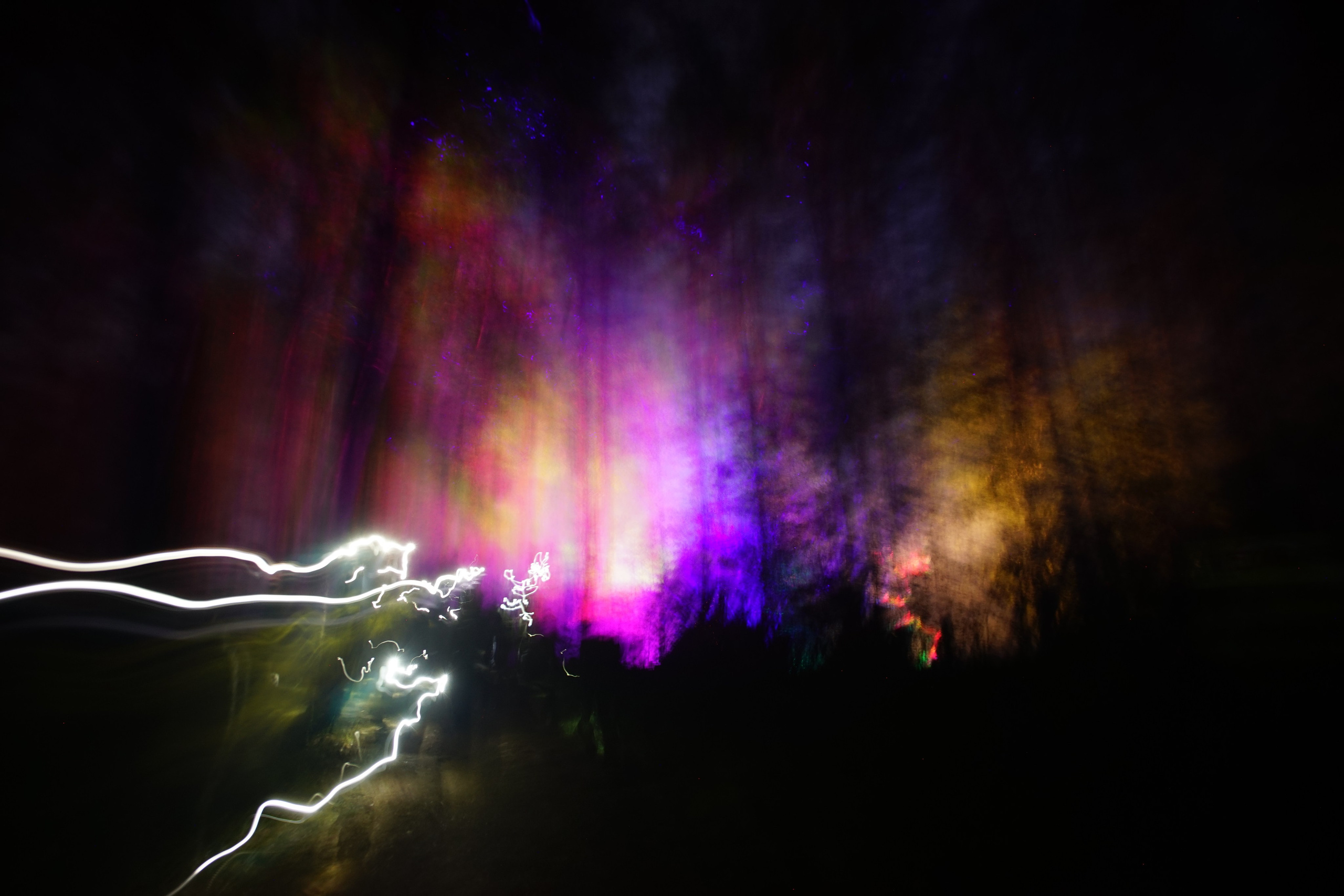 Где-то в лесу. ZAGLADIN Bureau