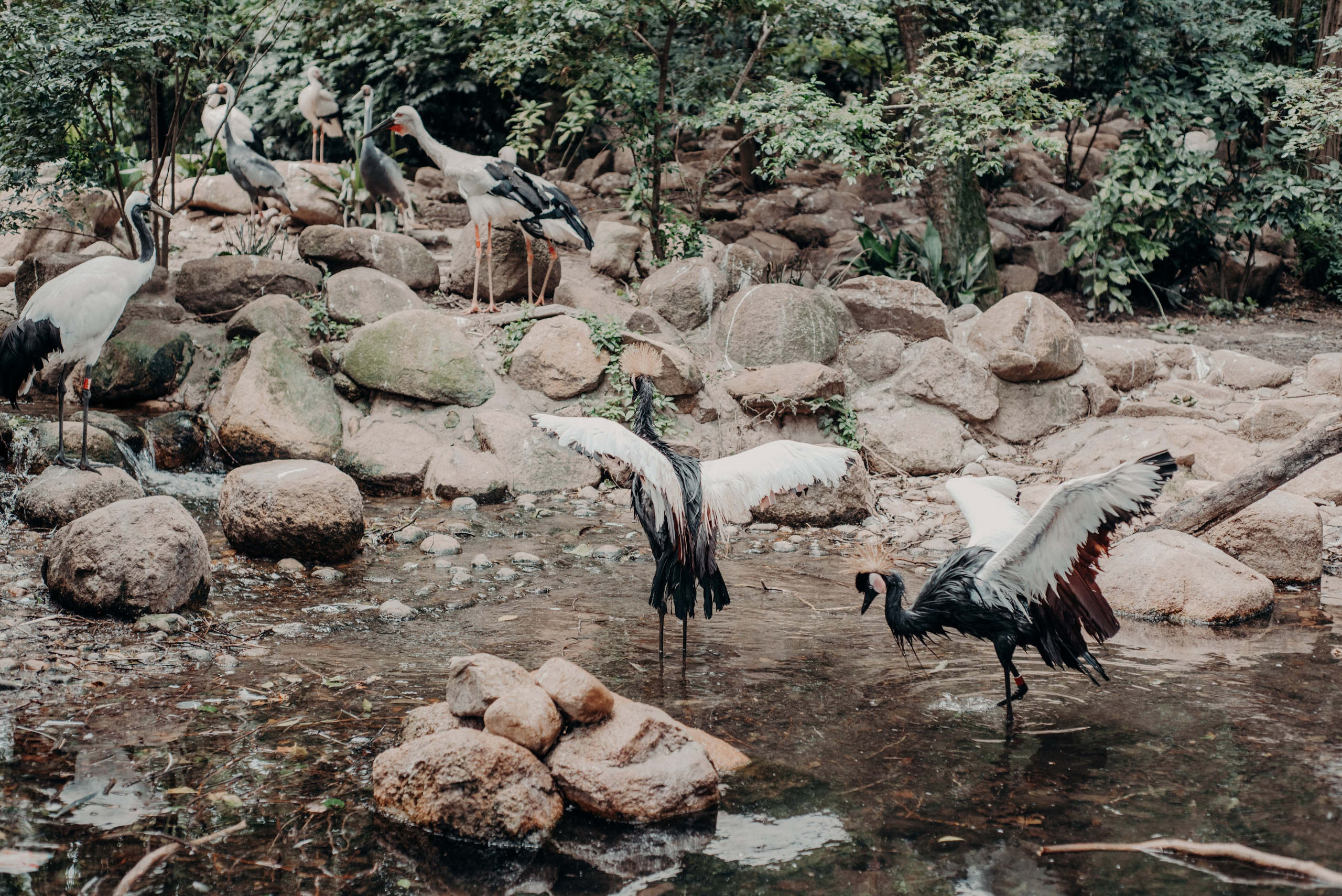 Рекламный фотограф из Гуанчжоу: вдохновение в улицах Шанхая. Коммерческий и предметный фотограф в Гуанчжоу Коваленко Александр