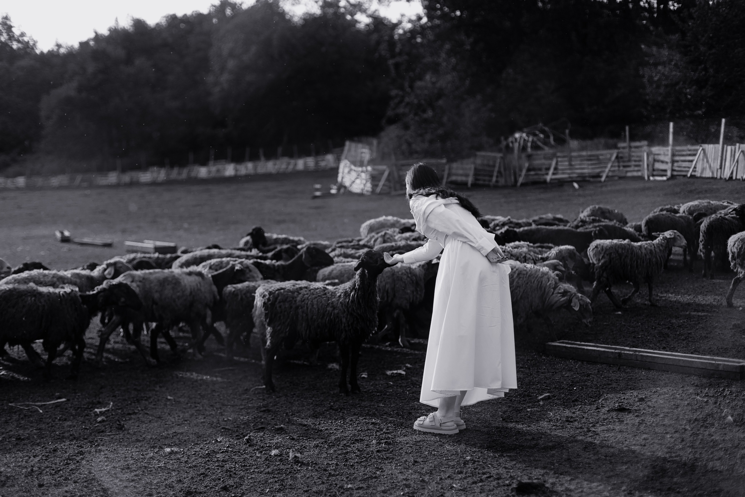 Наташа. Главная