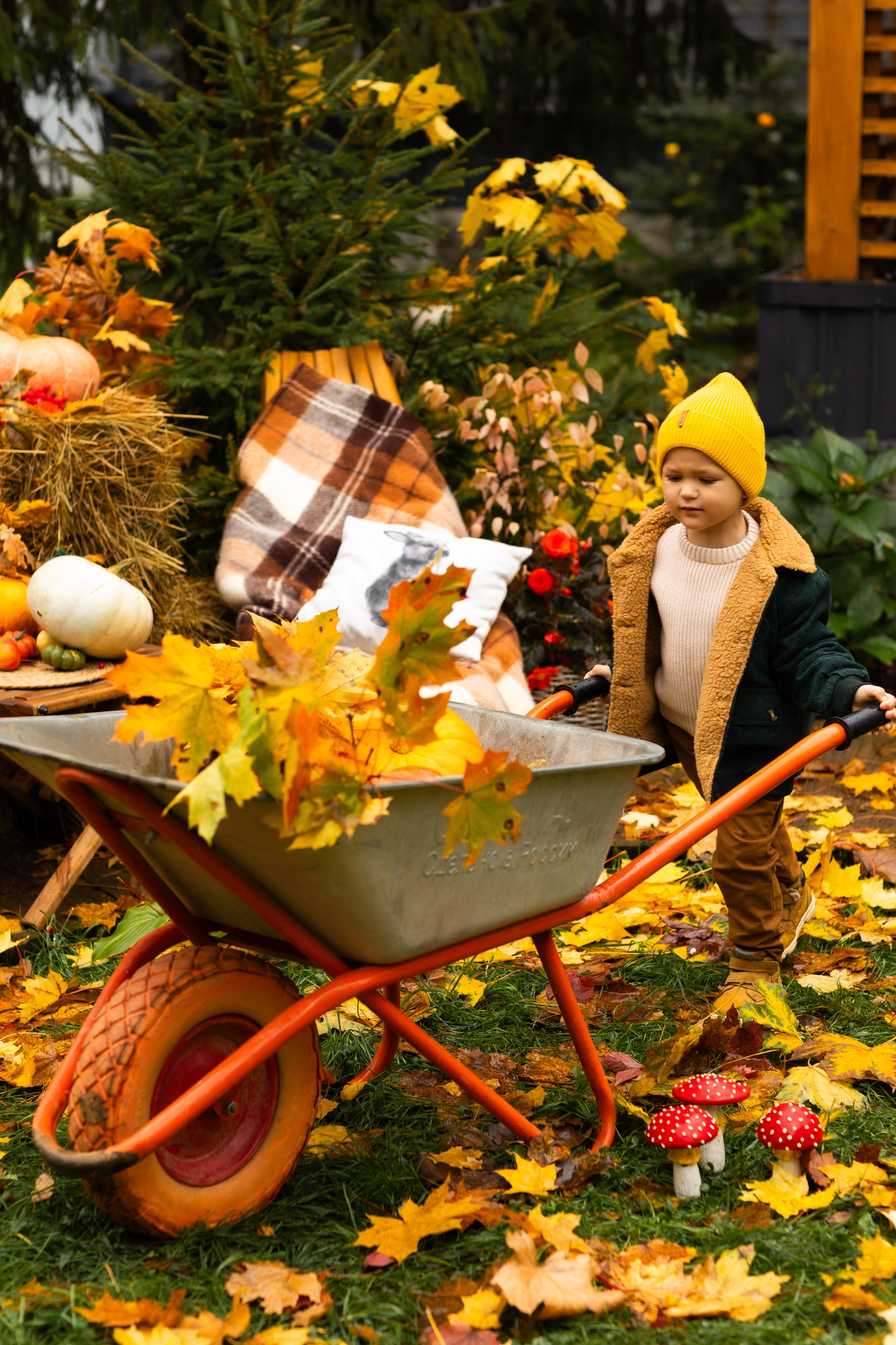 Осень. Профессиональный ретушер Москва и весь мир — Елена Тимченко