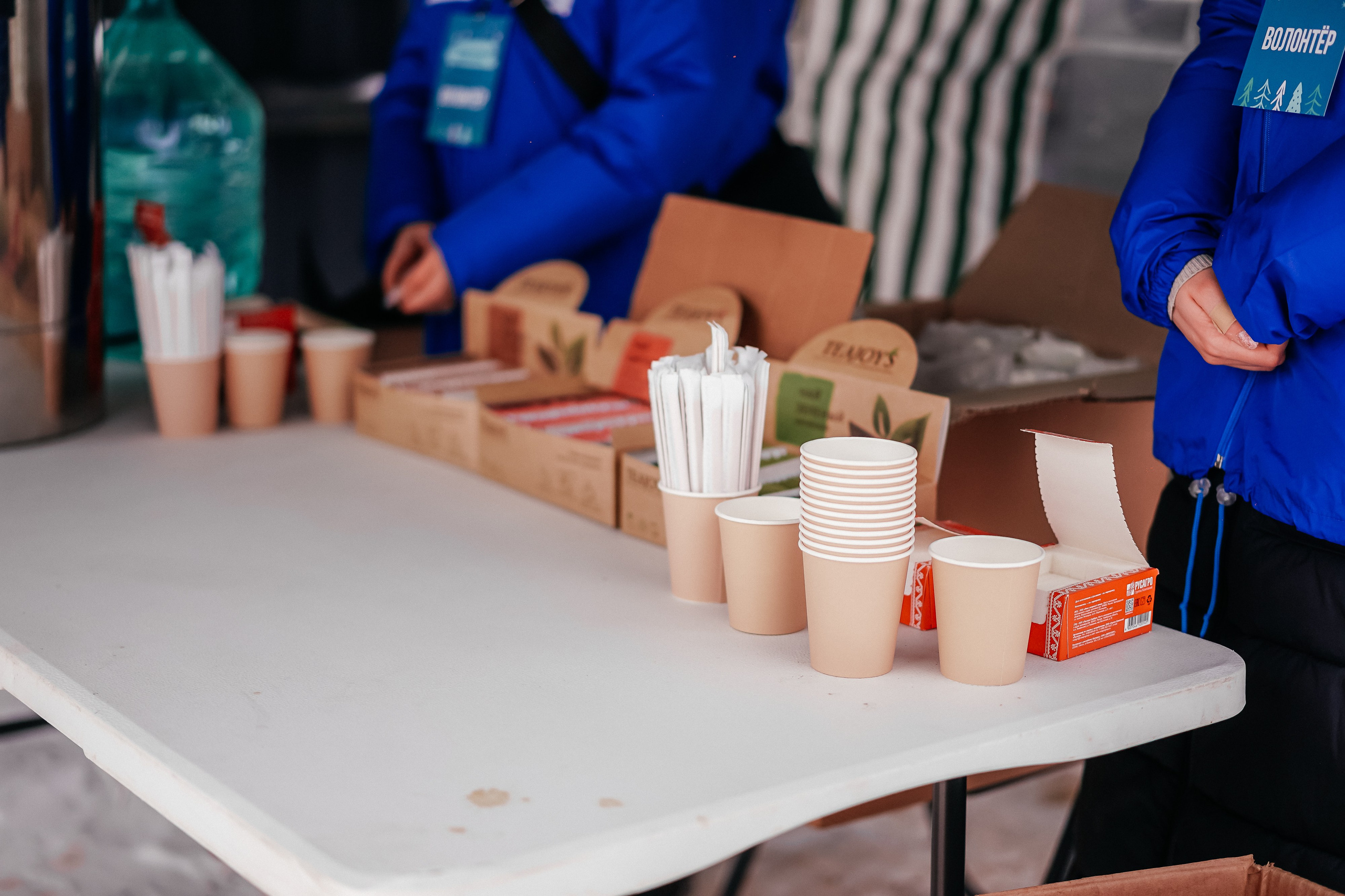 «Предновогодний переполох» Лопатинский сад, 14.12.2024. Фотограф и видеограф Смоленск | Студия Цезарь