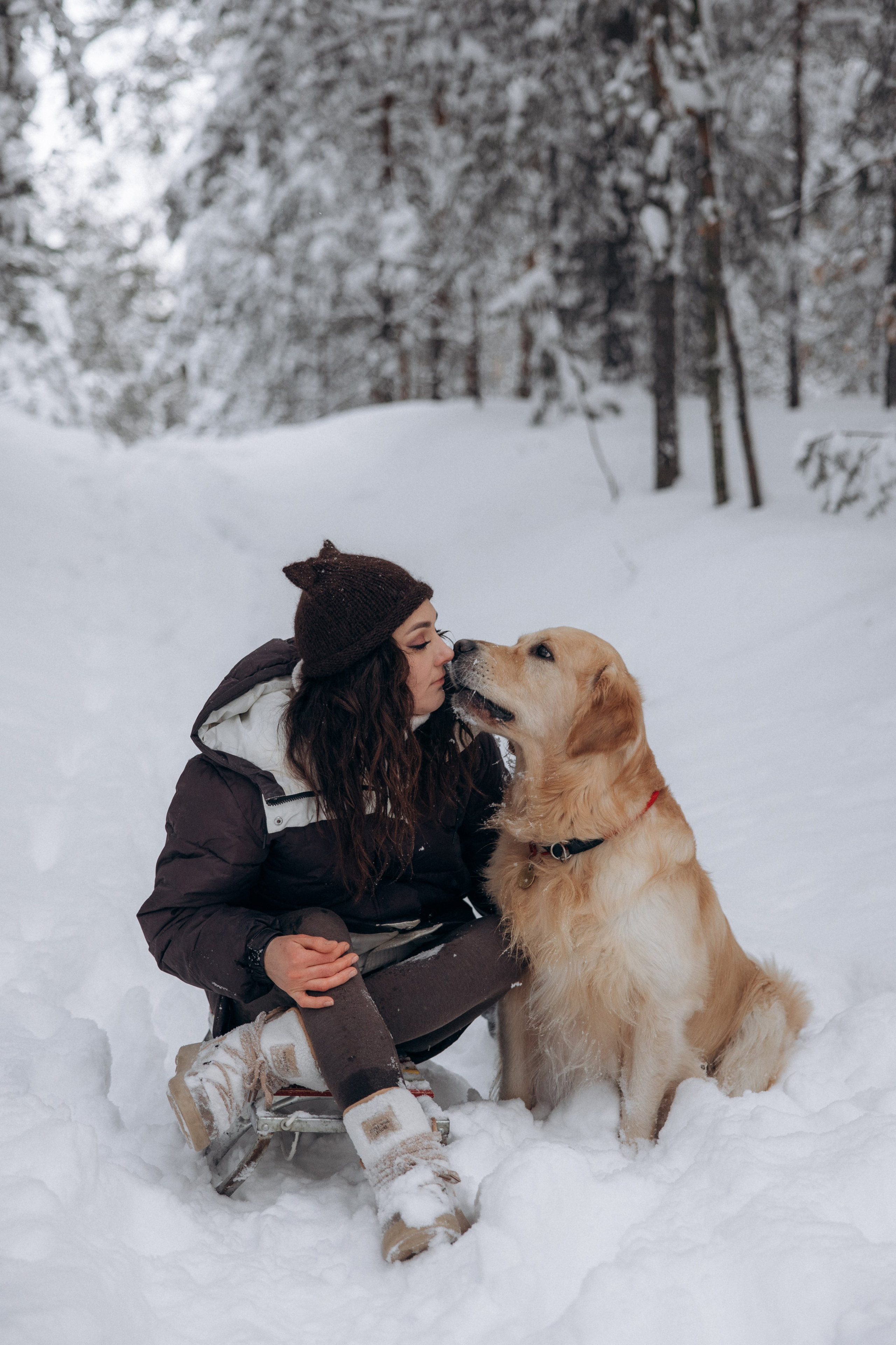 Зимняя история, Света и Чарли. Фотограф анималист в Казани Алина Сулейманова. Фотограф животных