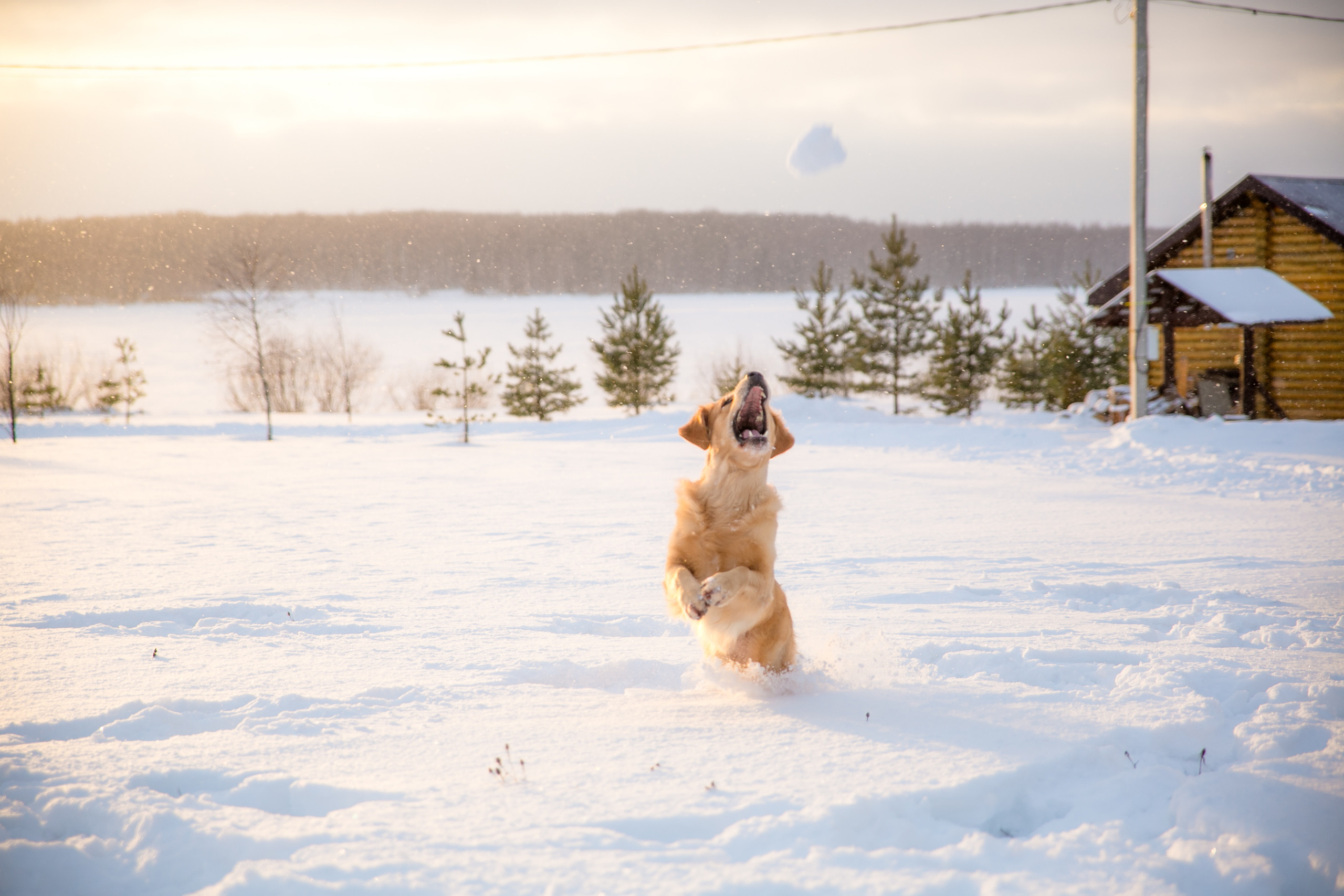 Новогодня сказка. База отдыха Осетрово. Школьный фотограф в Туле Светлана Привезенцева