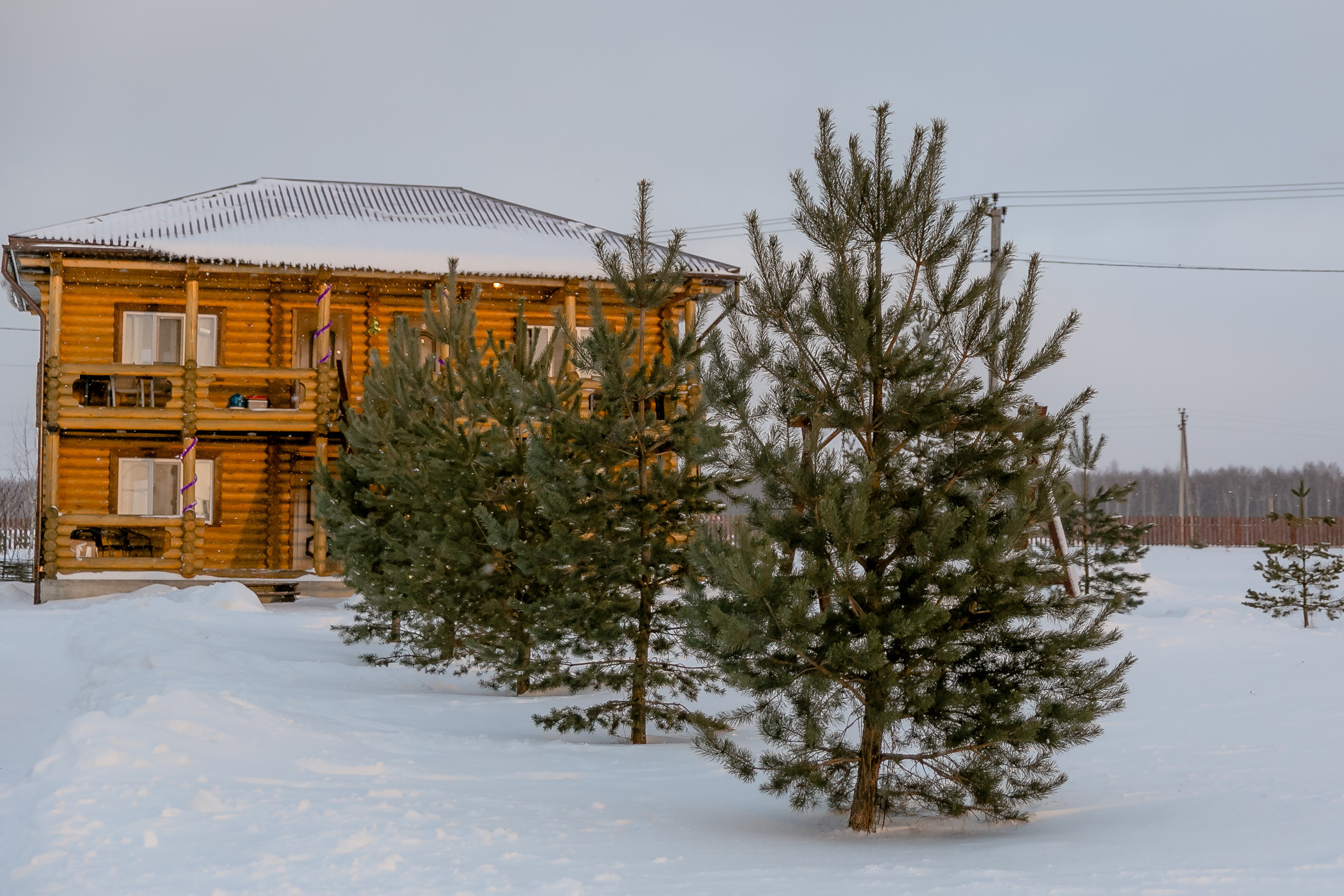Новогодня сказка. База отдыха Осетрово. Школьный фотограф в Туле Светлана Привезенцева