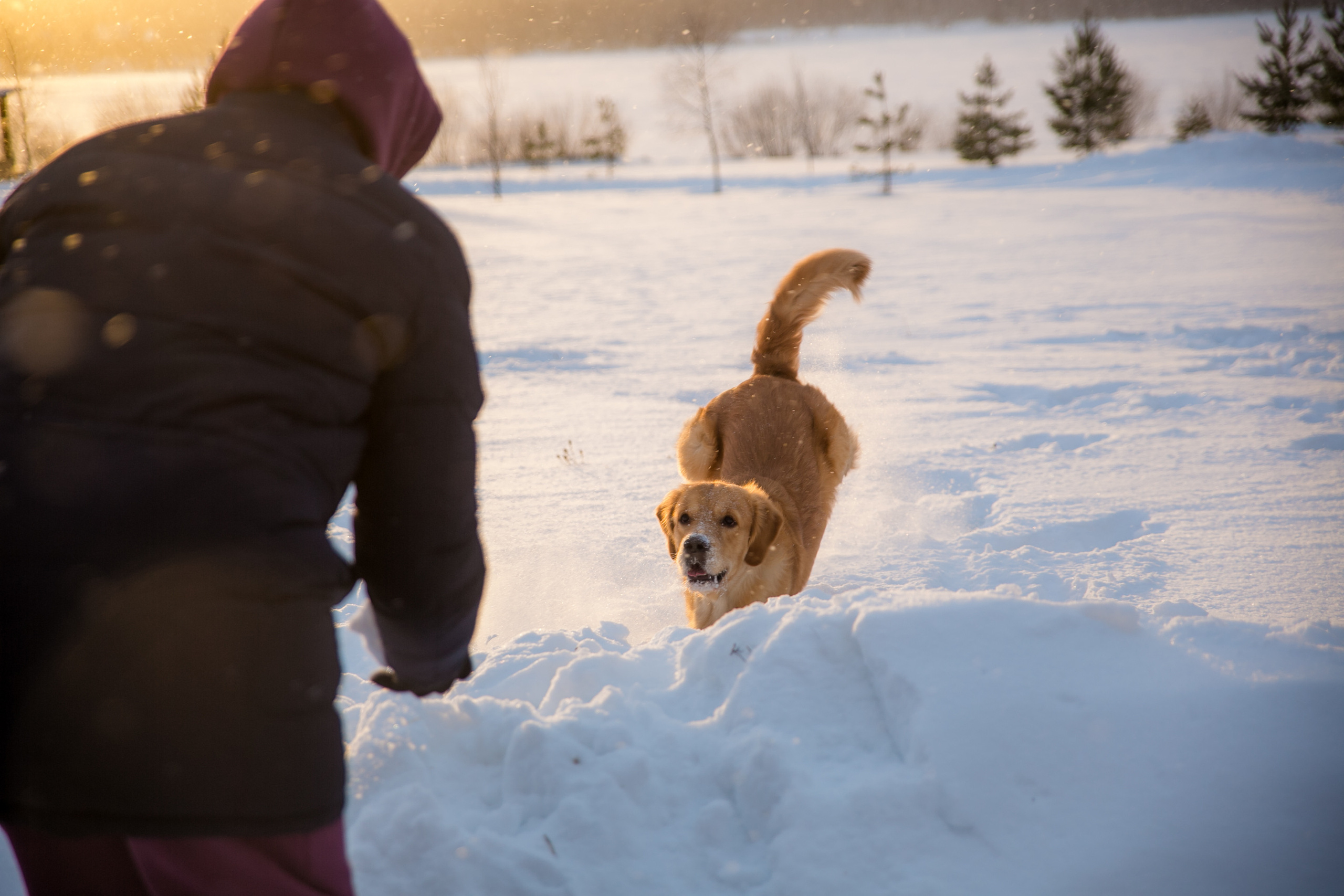 Новогодня сказка. База отдыха Осетрово. Школьный фотограф в Туле Светлана Привезенцева
