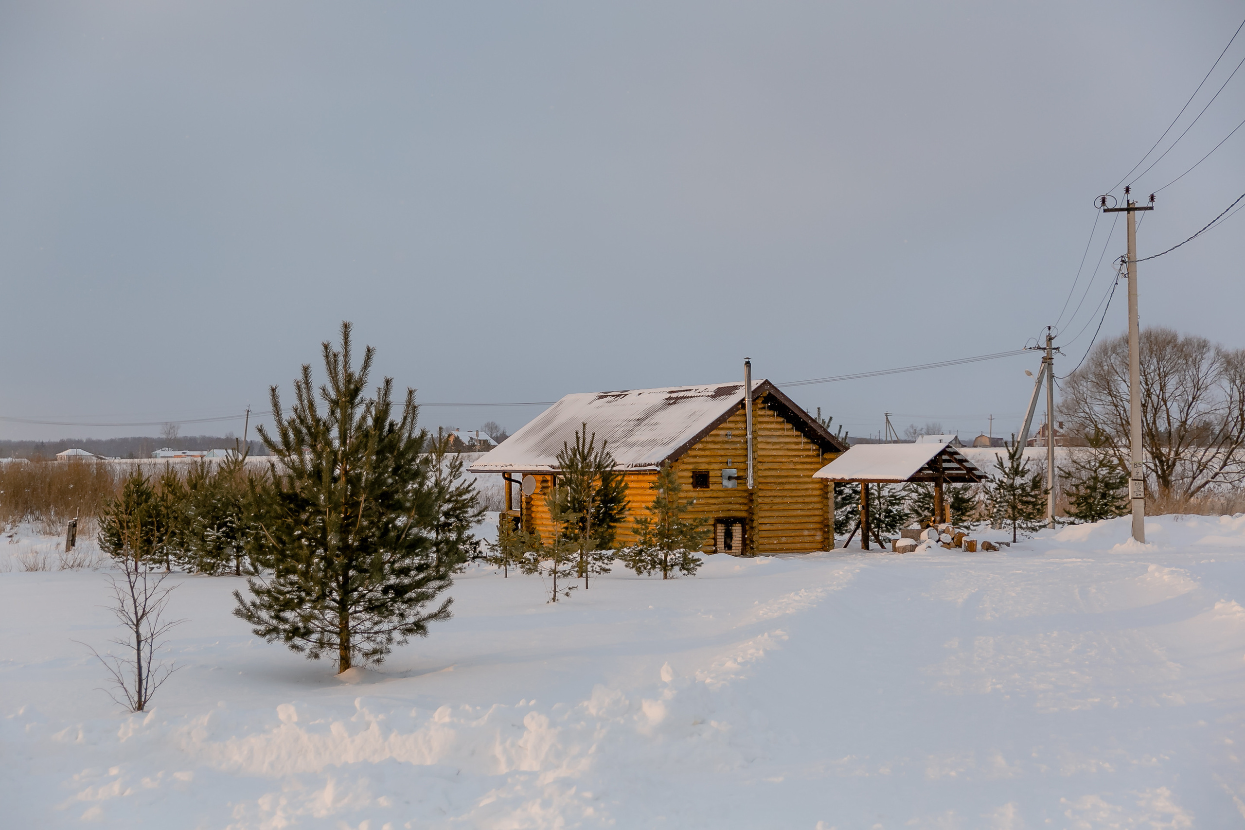 Новогодня сказка. База отдыха Осетрово. Школьный фотограф в Туле Светлана Привезенцева