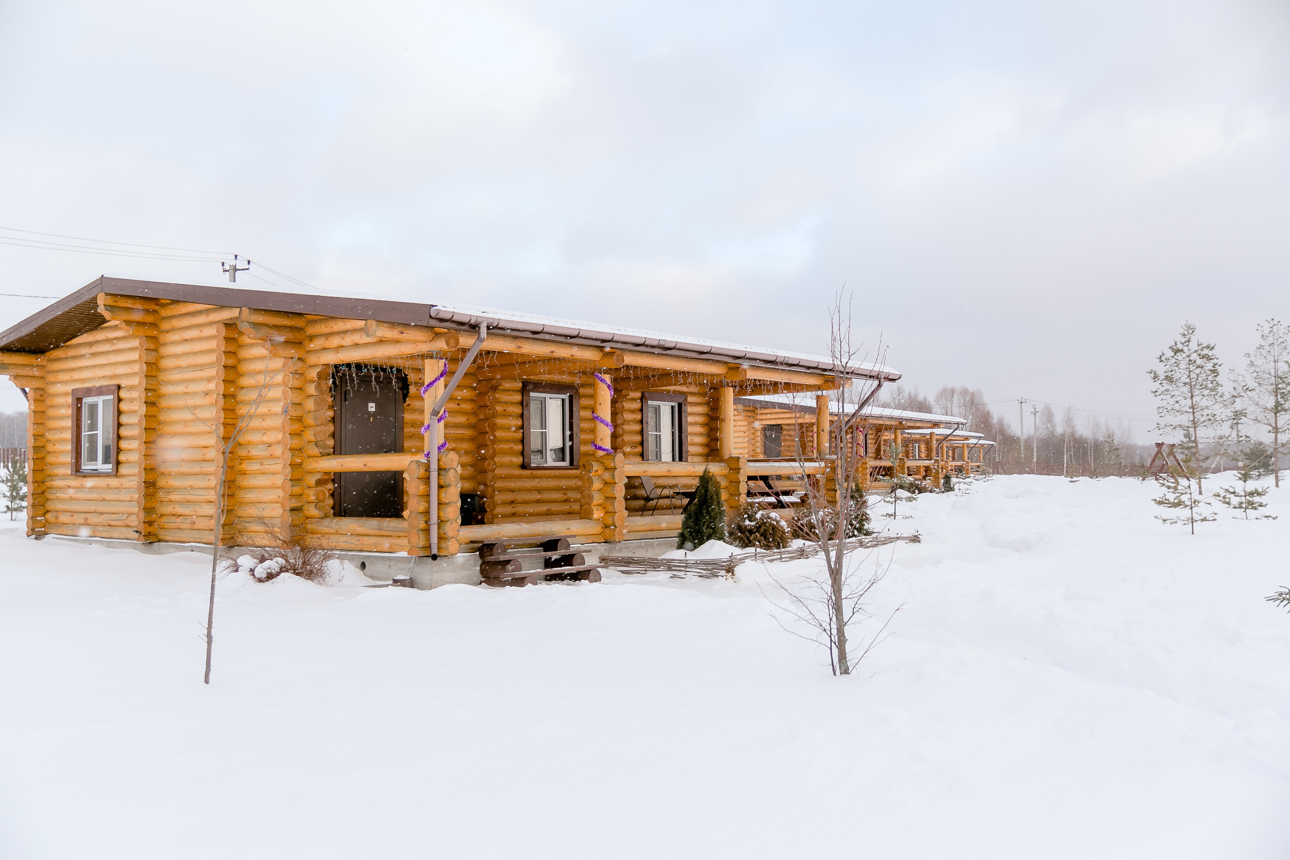 Новогодня сказка. База отдыха Осетрово. Школьный фотограф в Туле Светлана Привезенцева