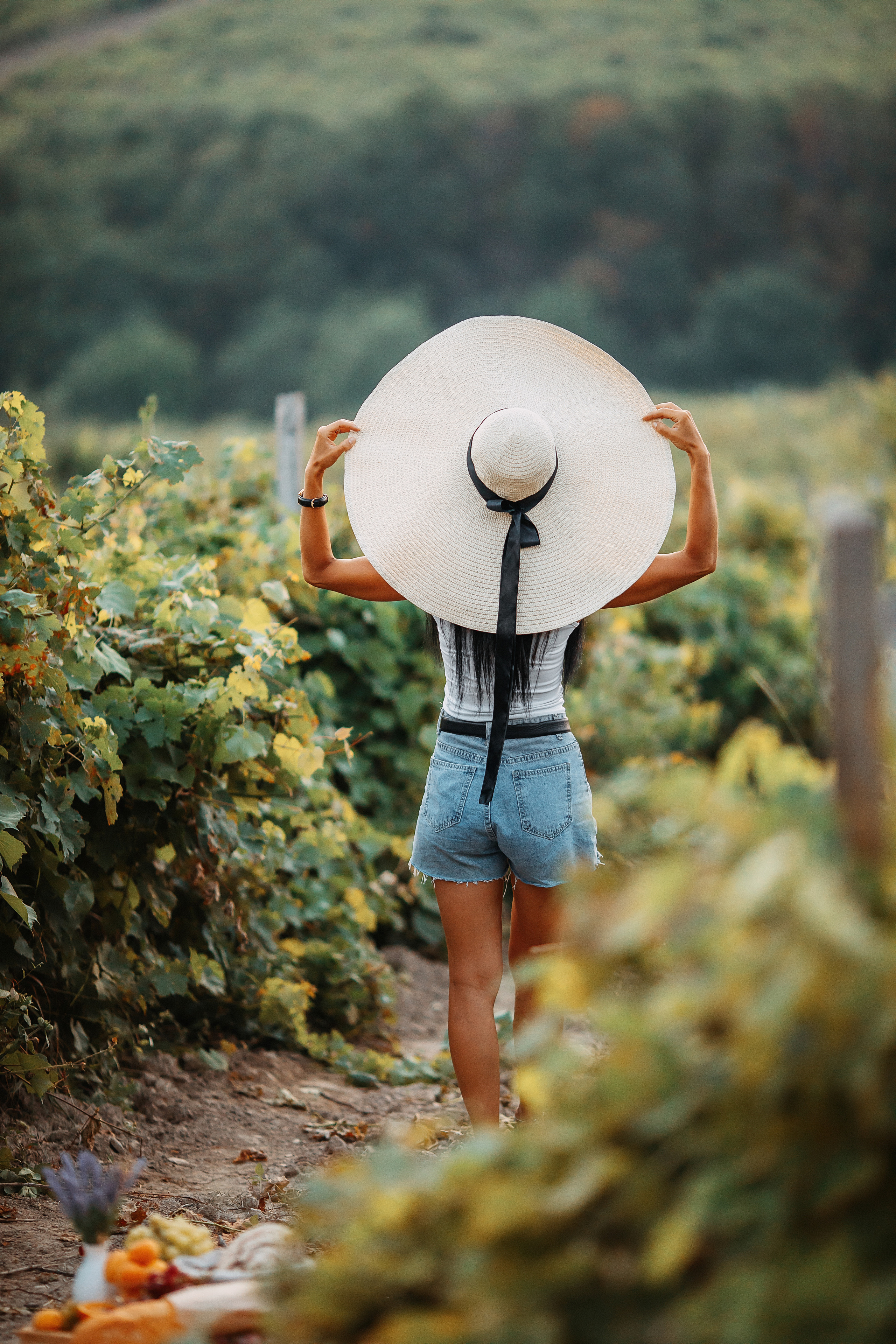 Виноградники. Художественный фотограф Анапа Александра Долбикова